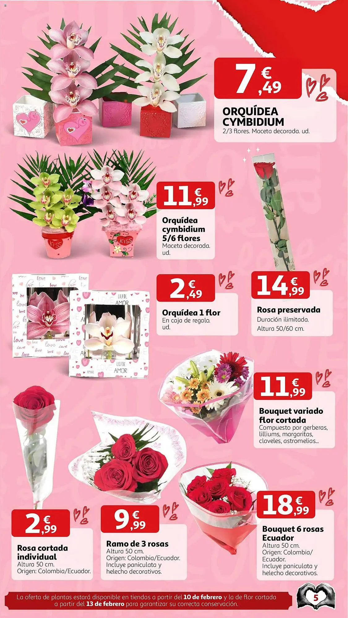 Catálogo de Folleto Alcampo 2 de febrero al 14 de febrero 2026 - Página 4