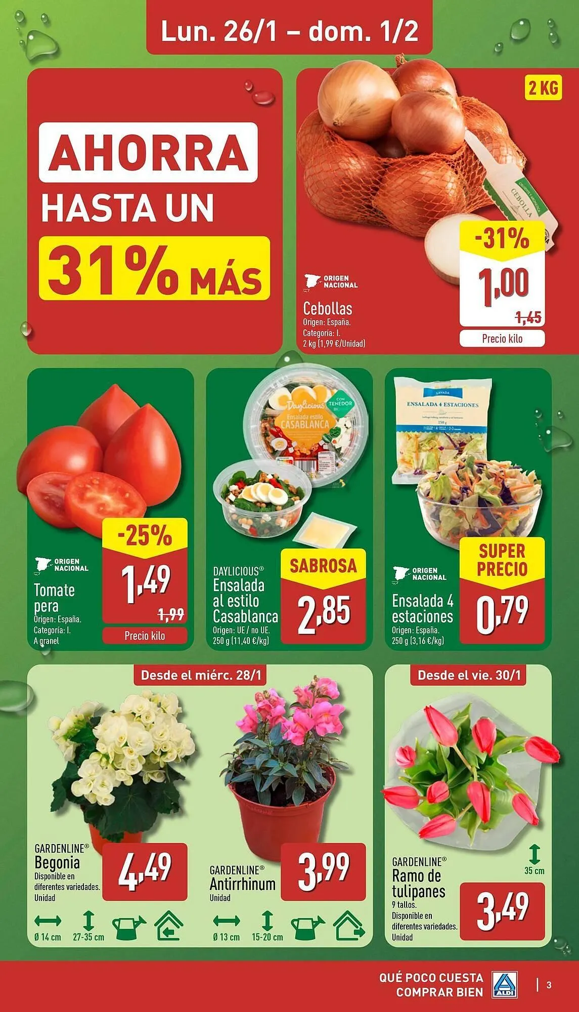 Catálogo de Folleto ALDI 26 de enero al 1 de febrero 2026 - Página 3