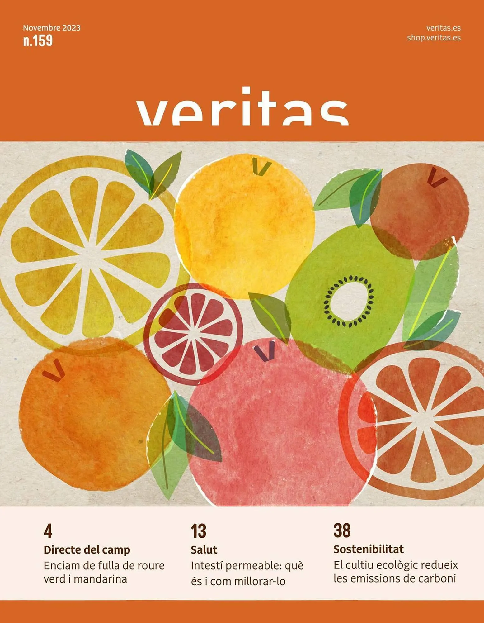 Folleto Veritas - 1