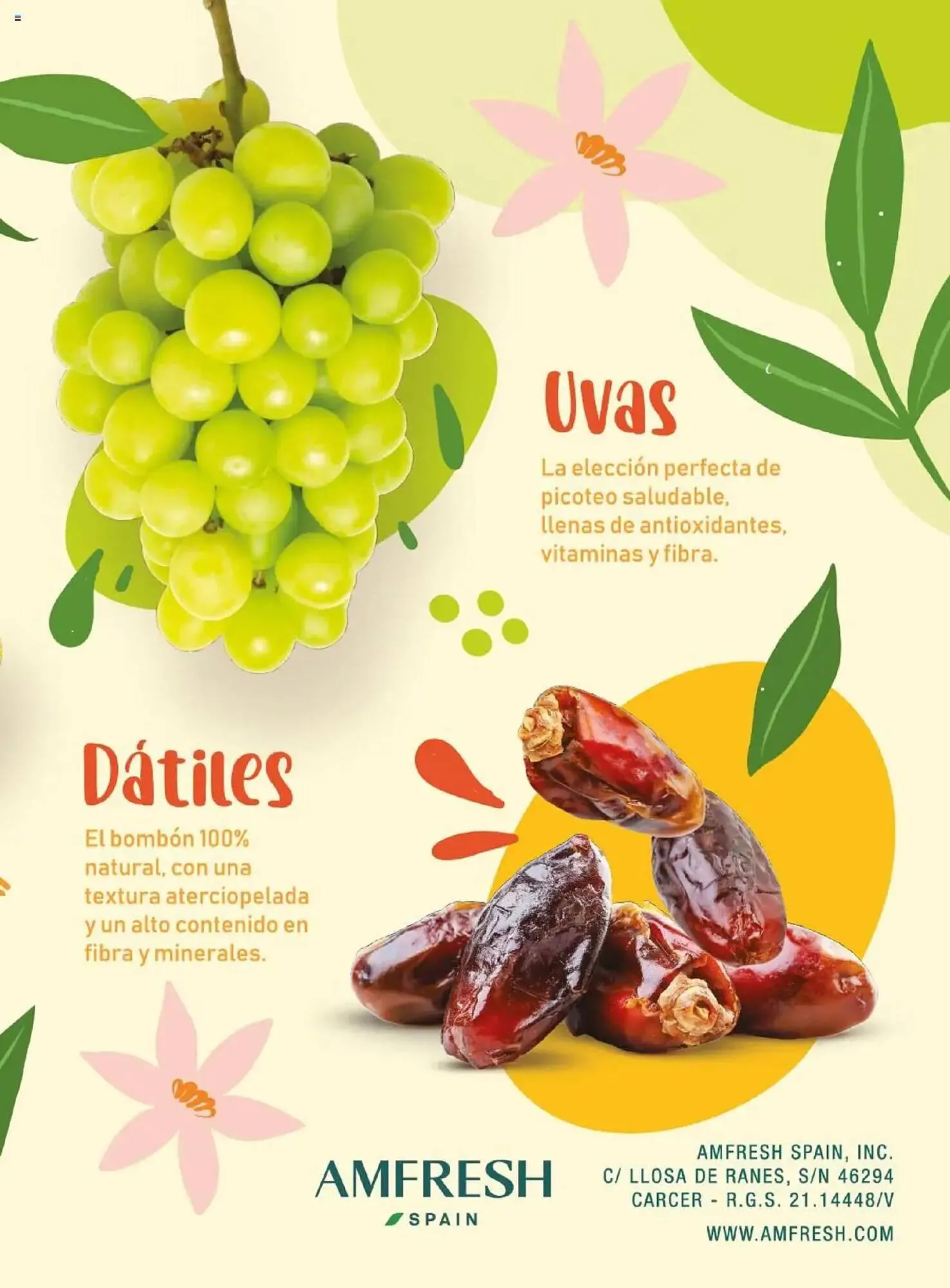 Catálogo de Folleto Costco 8 de abril al 31 de julio 2025 - Página 107