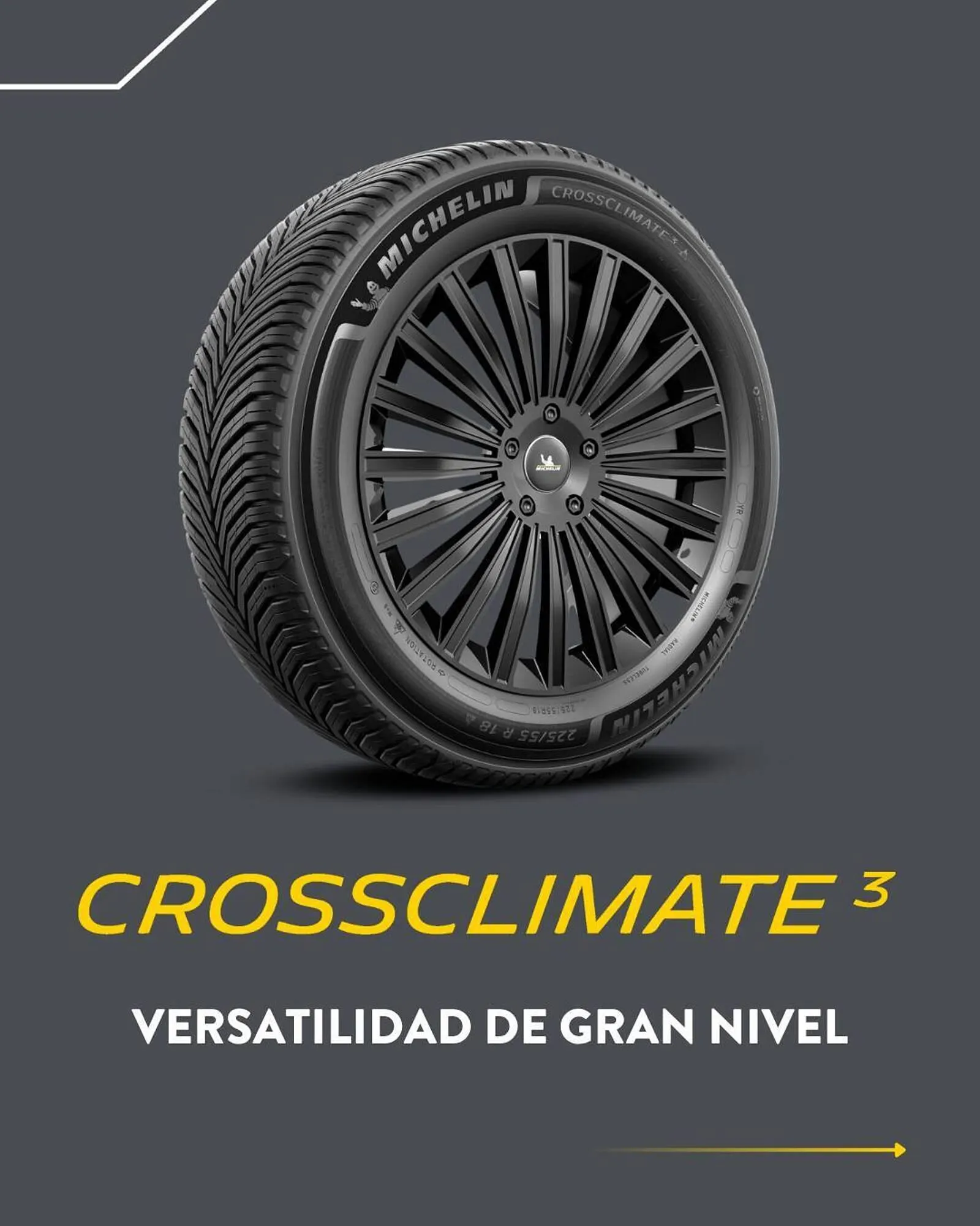 Catálogo de Folleto Rodi 1 de julio al 27 de julio 2025 - Página 2