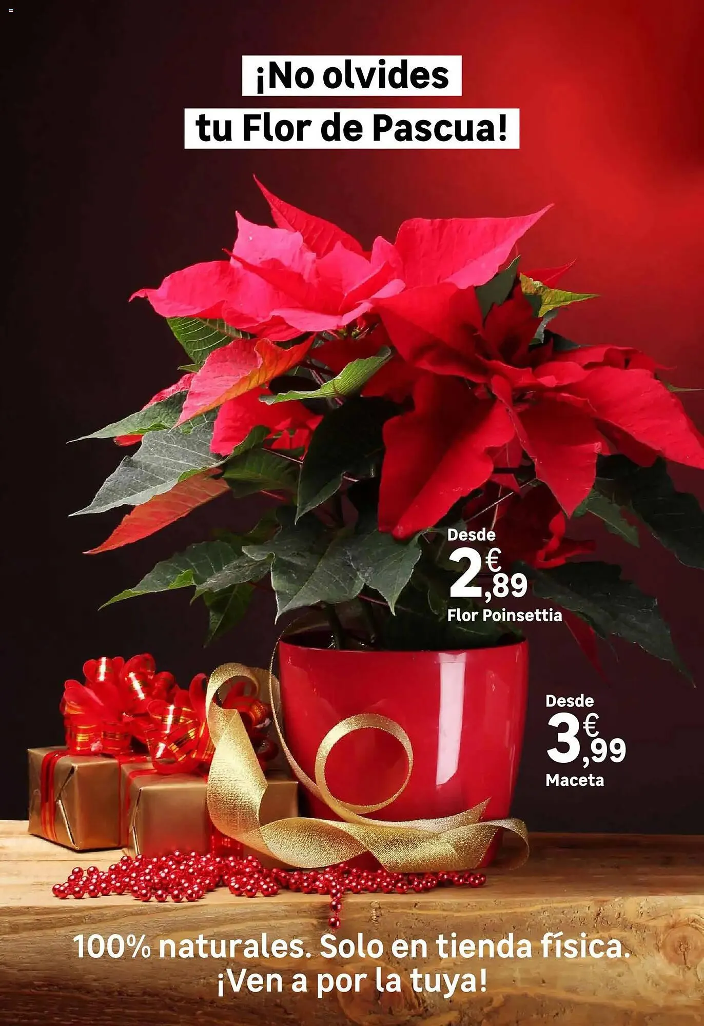 Catálogo de Catálogo Leroy Merlin 31 de octubre al 26 de diciembre 2025 - Página 74