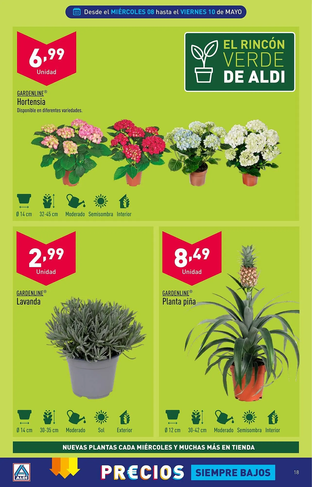 Catálogo de Folleto ALDI 8 de mayo al 14 de mayo 2024 - Página 18