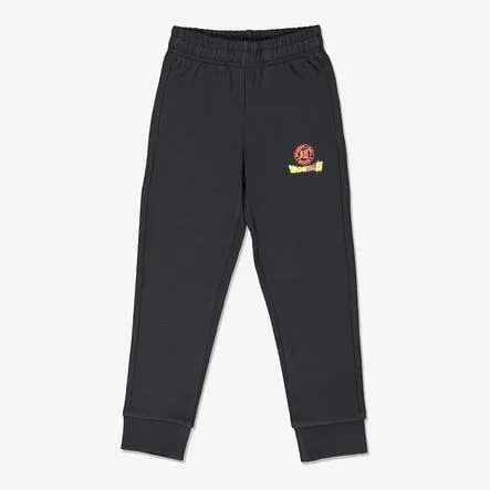 Pantalón Dragon Ball
