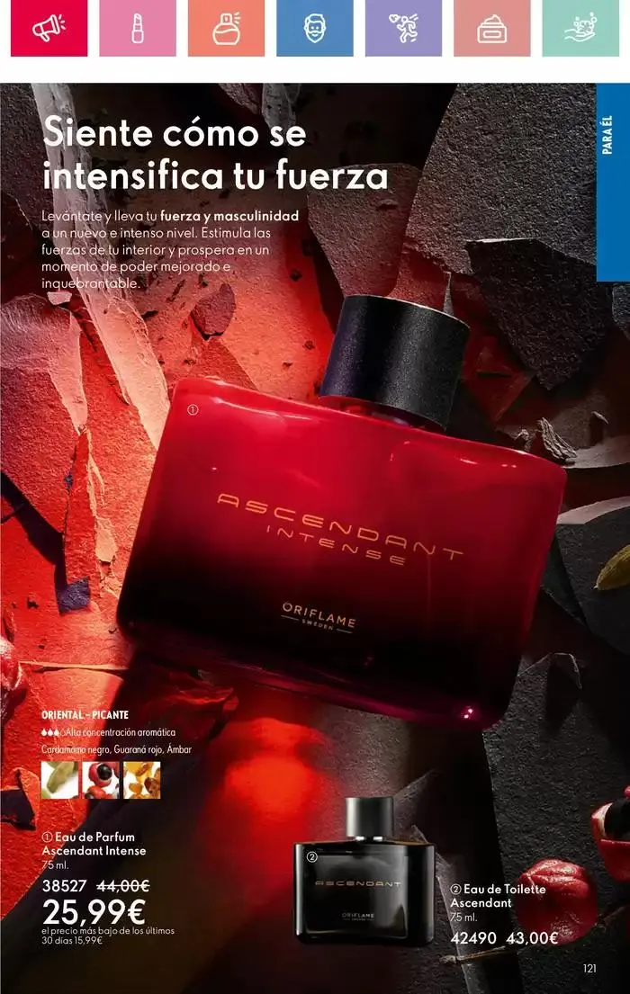 Catálogo de AROMAS PARA TU ESTADO DE ÁNIMO 12 de mayo al 31 de mayo 2025 - Página 121