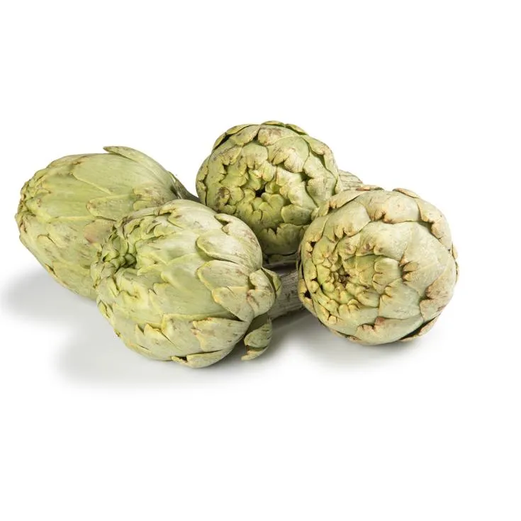 ALCACHOFA DE TUDELA I.G.P , KG PLAZA