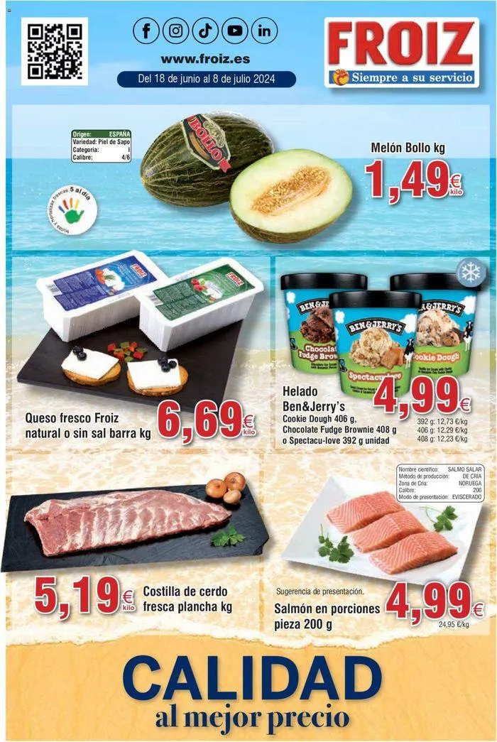 Catálogo de Catálogo Froiz 18 de junio al 8 de julio 2024 - Página 1