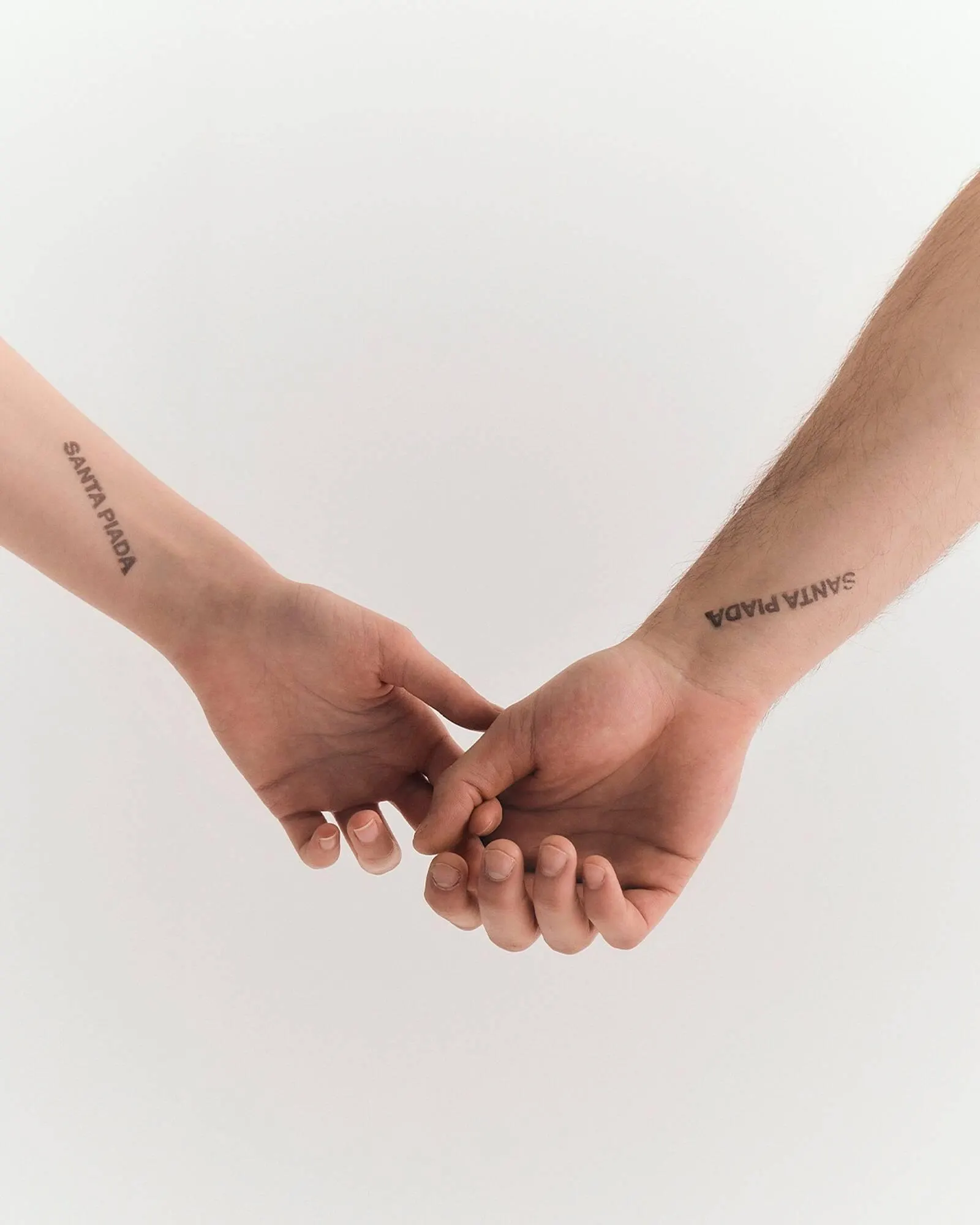 Catálogo de Folleto Terranova 12 de junio al 9 de agosto 2025 - Página 5