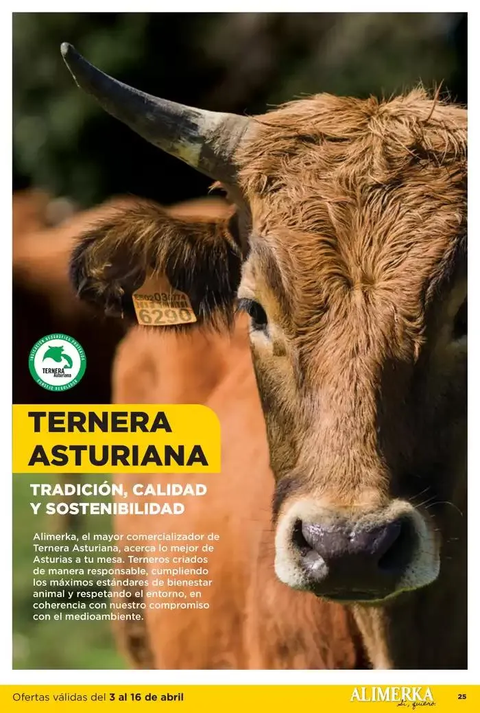 Catálogo de Quincenal del 3 al 16 de abril Asturias 3 de abril al 16 de abril 2025 - Página 25
