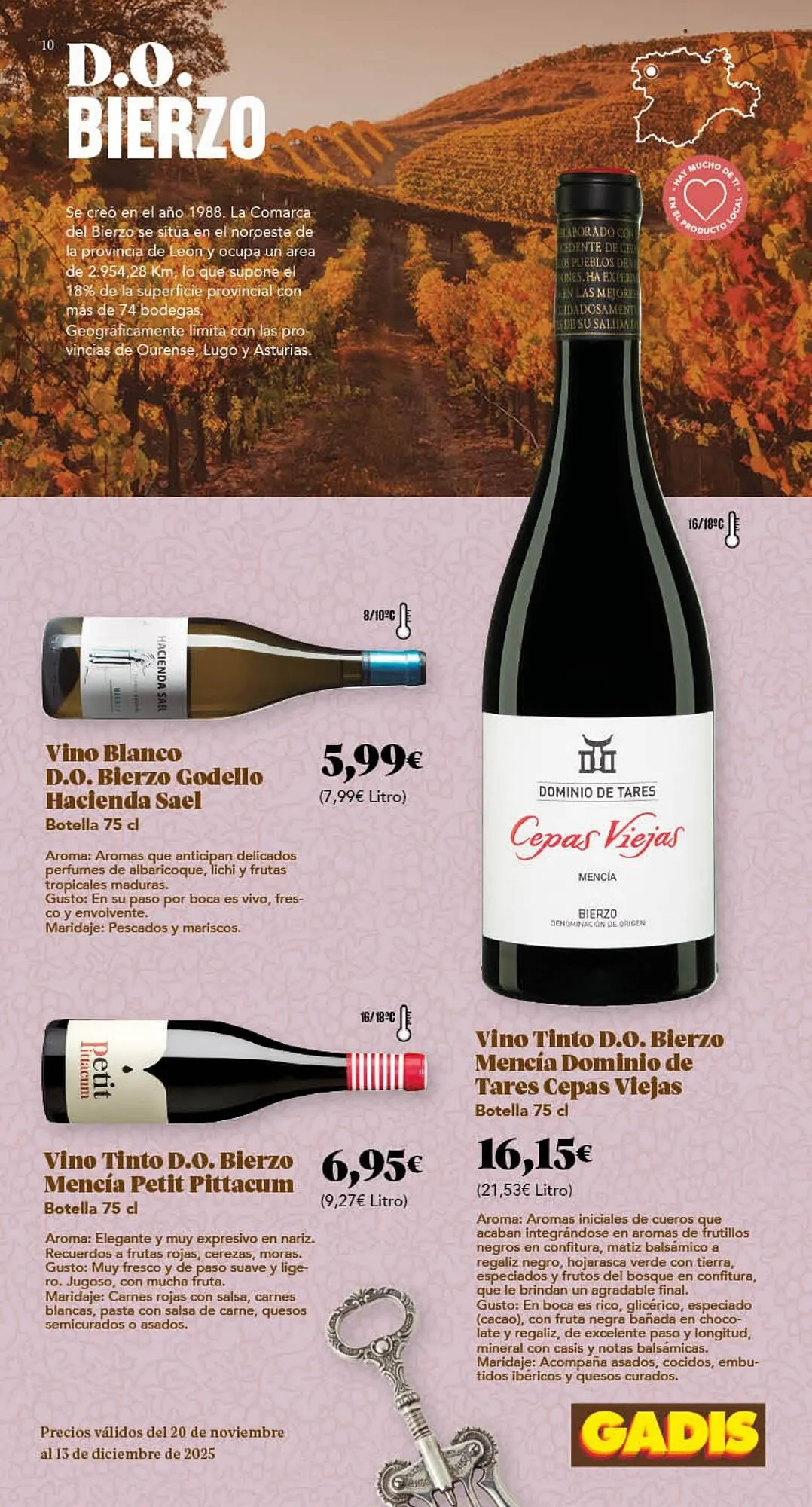 Catálogo de Folleto Gadis 20 de noviembre al 13 de diciembre 2025 - Página 10