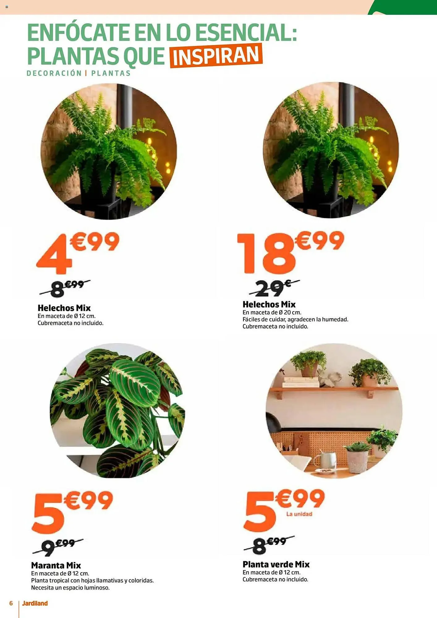 Catálogo de Catálogo Jardiland 15 de enero al 1 de febrero 2026 - Página 6