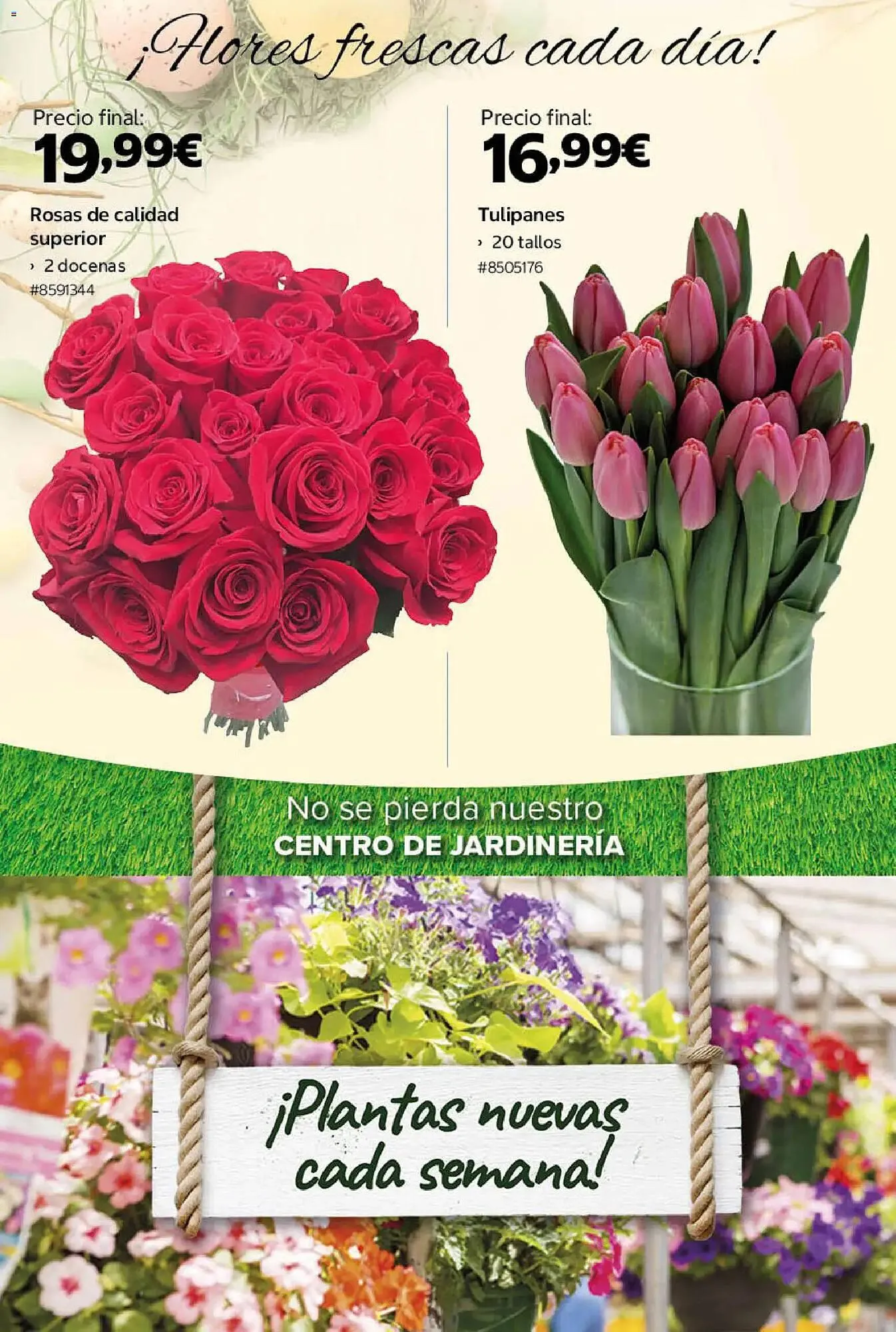 Catálogo de Catálogo Costco 23 de marzo al 5 de abril 2026 - Página 16