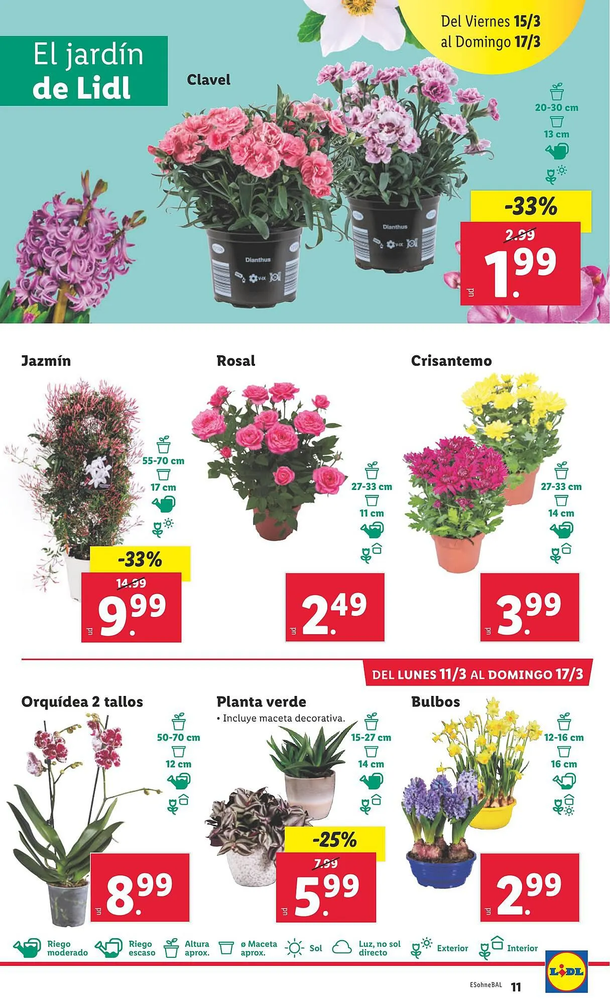 Catálogo de Folleto Lidl 11 de marzo al 17 de marzo 2024 - Página 11