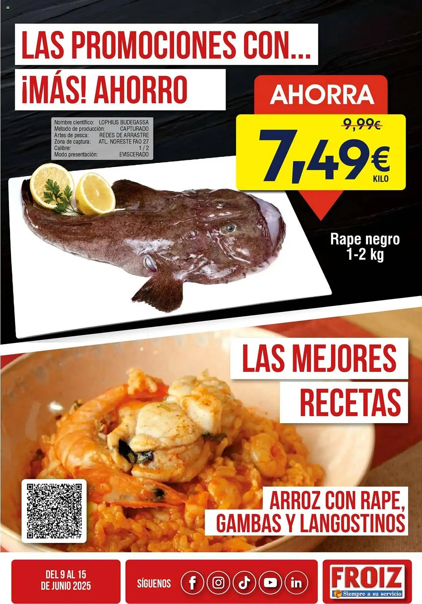 Catálogo de Folleto FROIZ 9 de junio al 15 de junio 2025 - Página 2