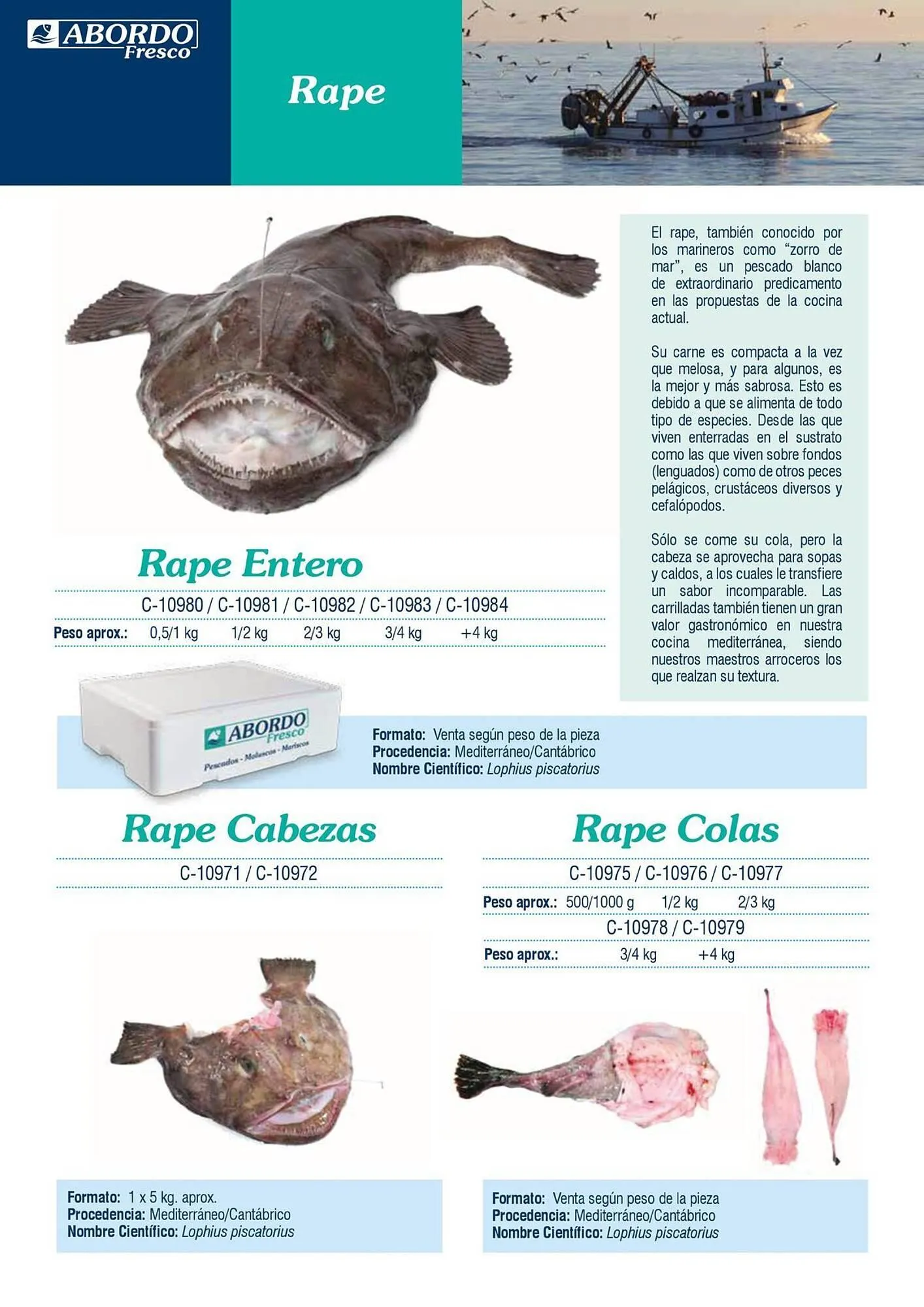 Catálogo de Folleto Abordo 5 de marzo al 30 de junio 2026 - Página 16