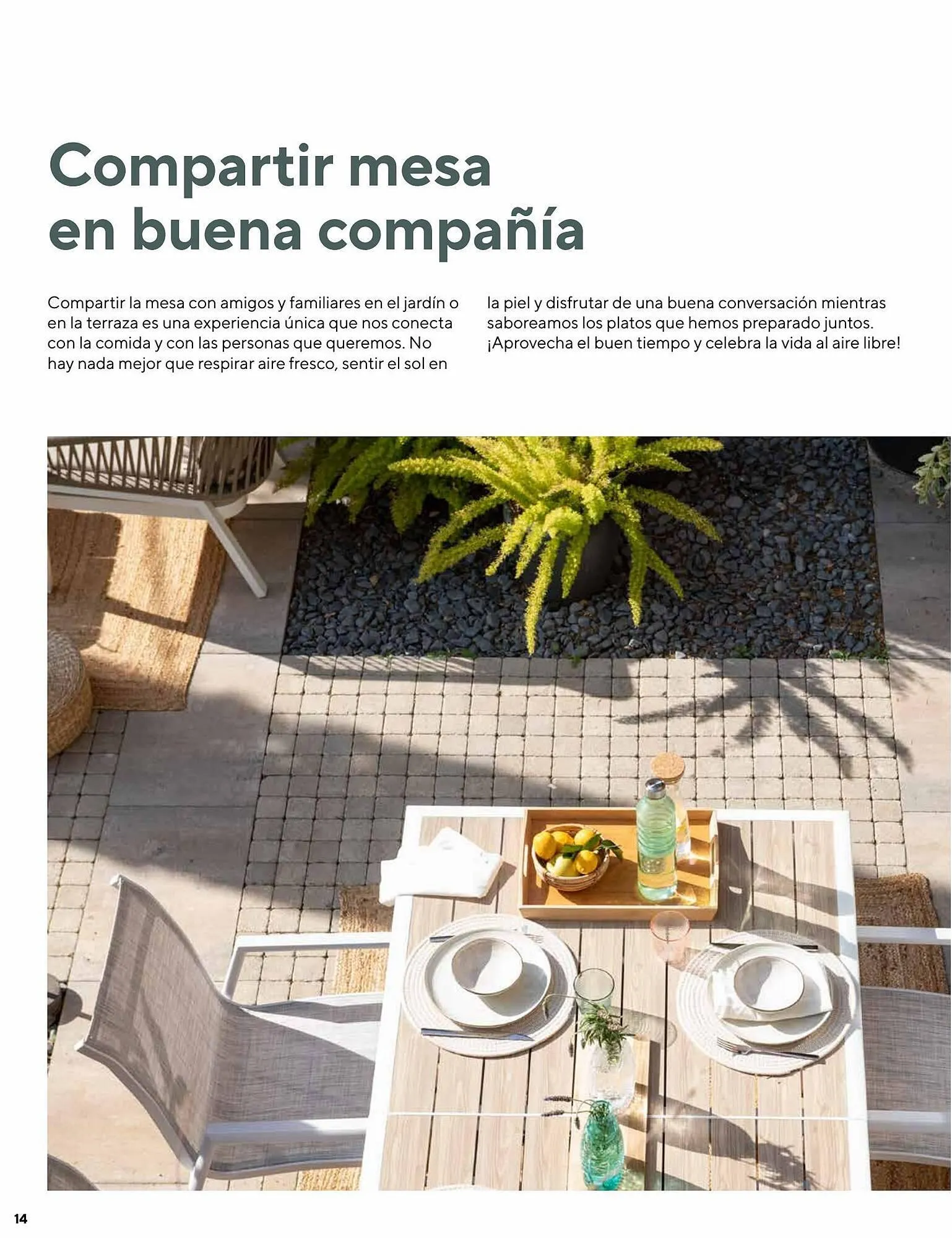 Catálogo de Folleto Casa Viva 25 de julio al 21 de septiembre 2023 - Página 14