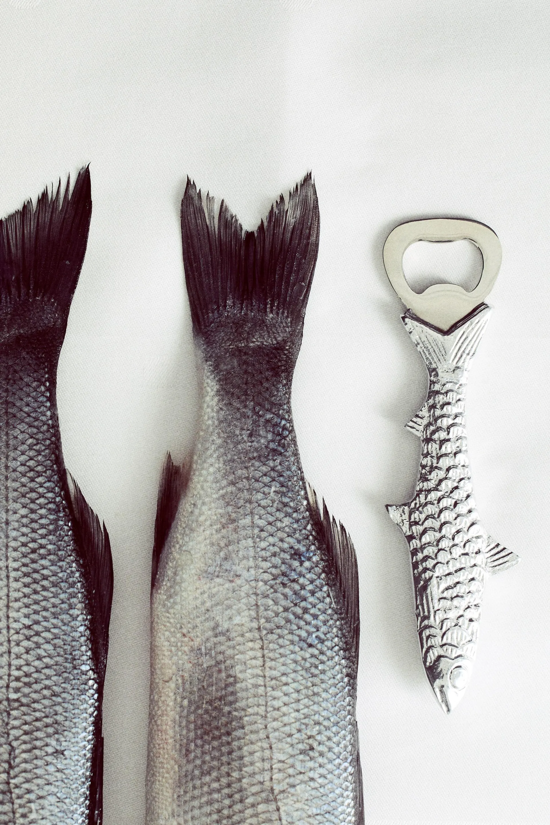 Abrebotellas en forma de pez