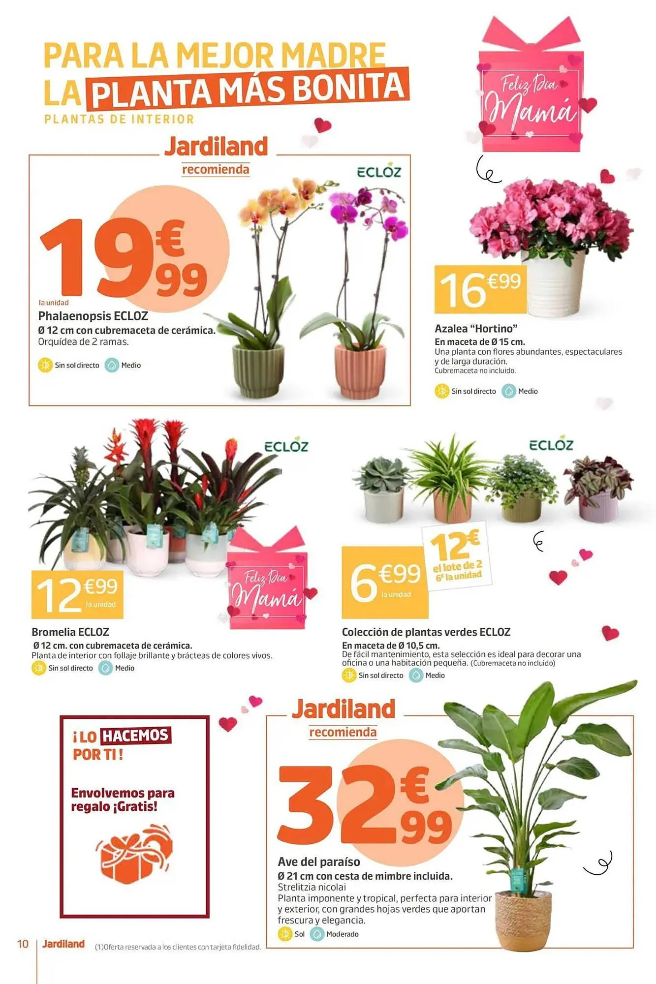 Catálogo de Catálogo Jardiland 22 de abril al 3 de mayo 2026 - Página 10