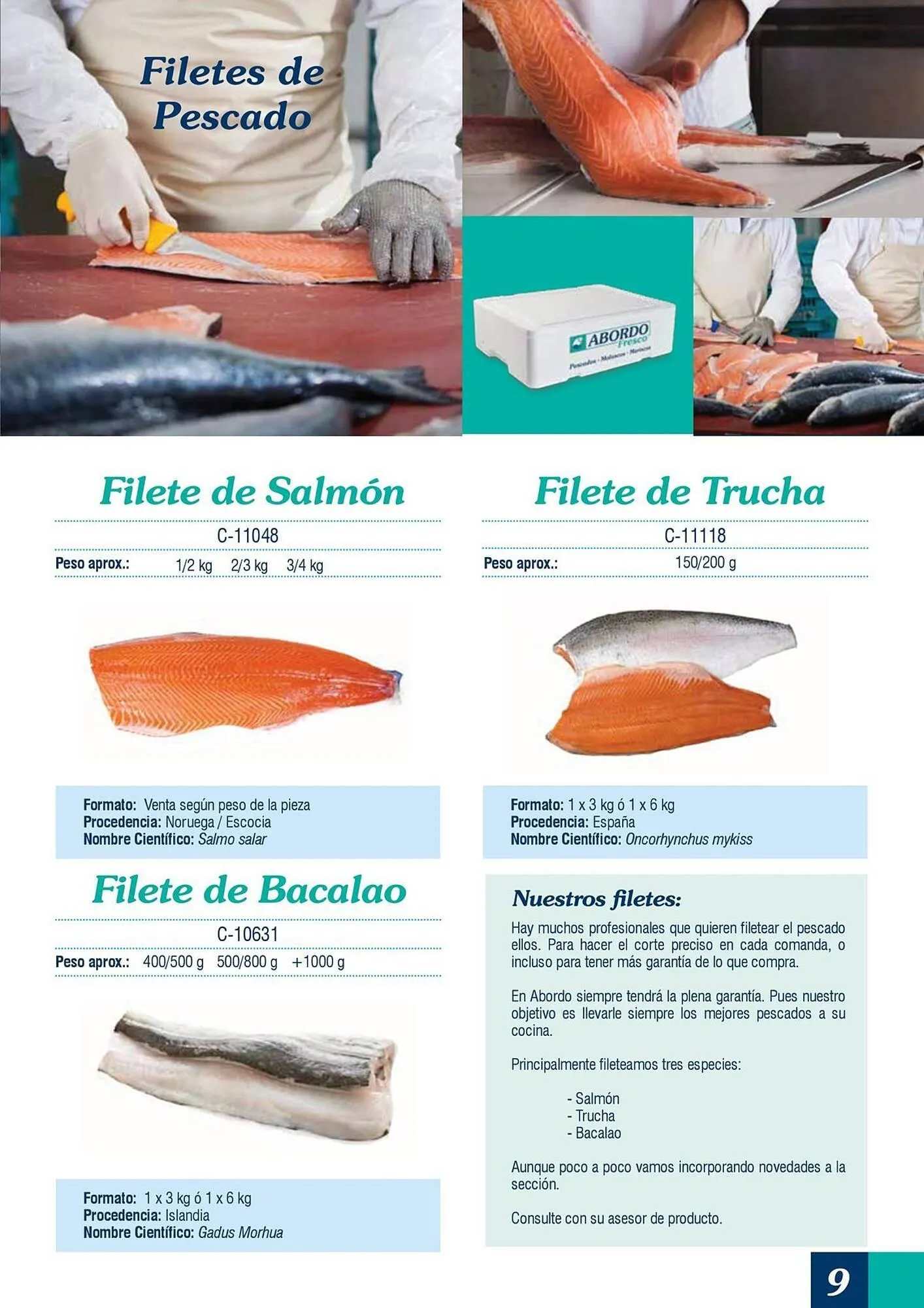 Catálogo de Folleto Abordo 5 de marzo al 30 de junio 2026 - Página 9