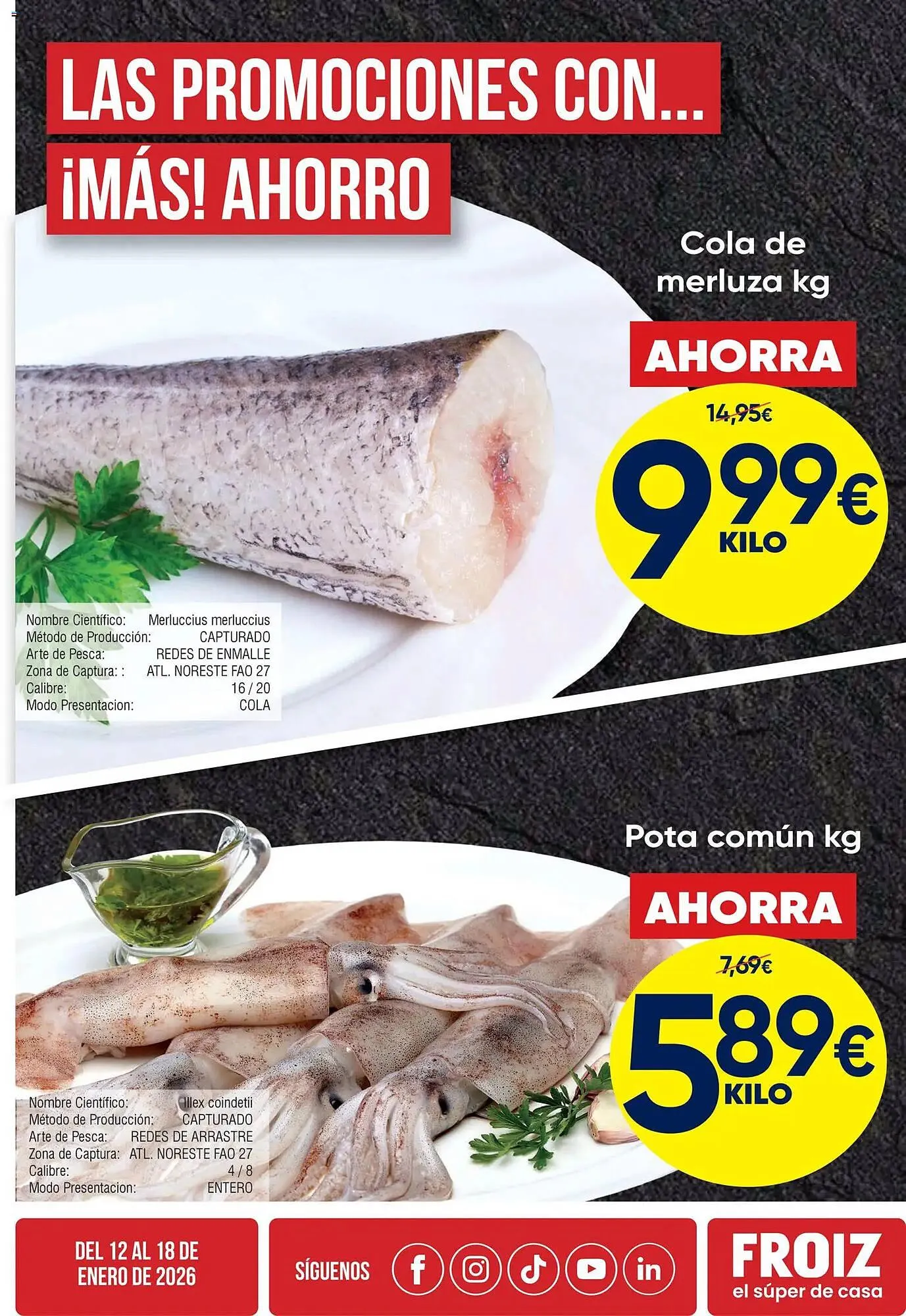 Catálogo de Folleto FROIZ 12 de enero al 18 de enero 2026 - Página 3