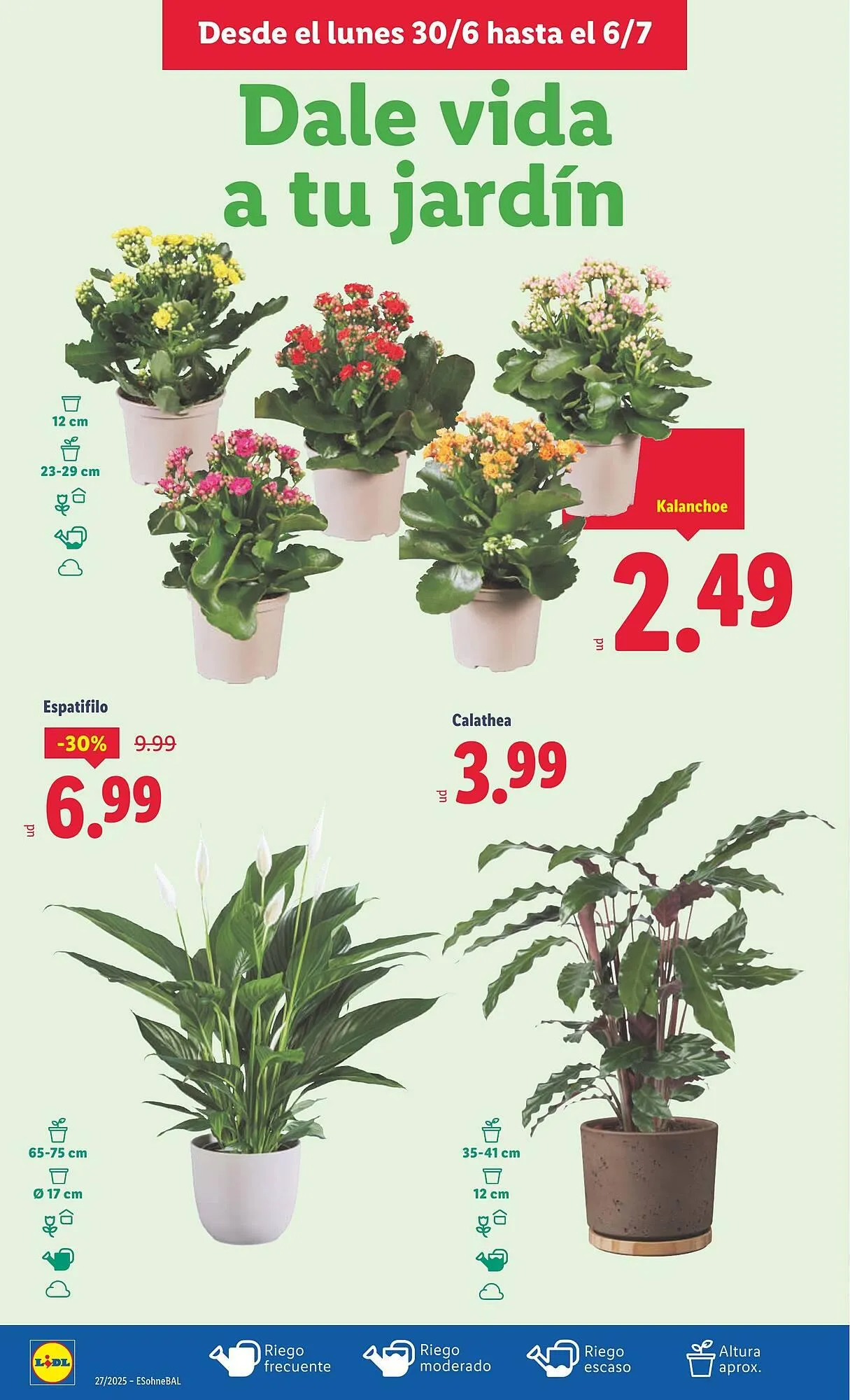 Catálogo de Folleto Lidl 30 de junio al 6 de julio 2025 - Página 14