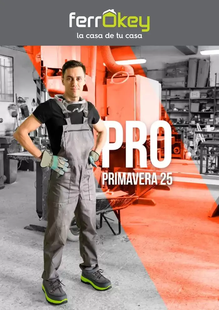 Profesional Primavera 2025 - 1