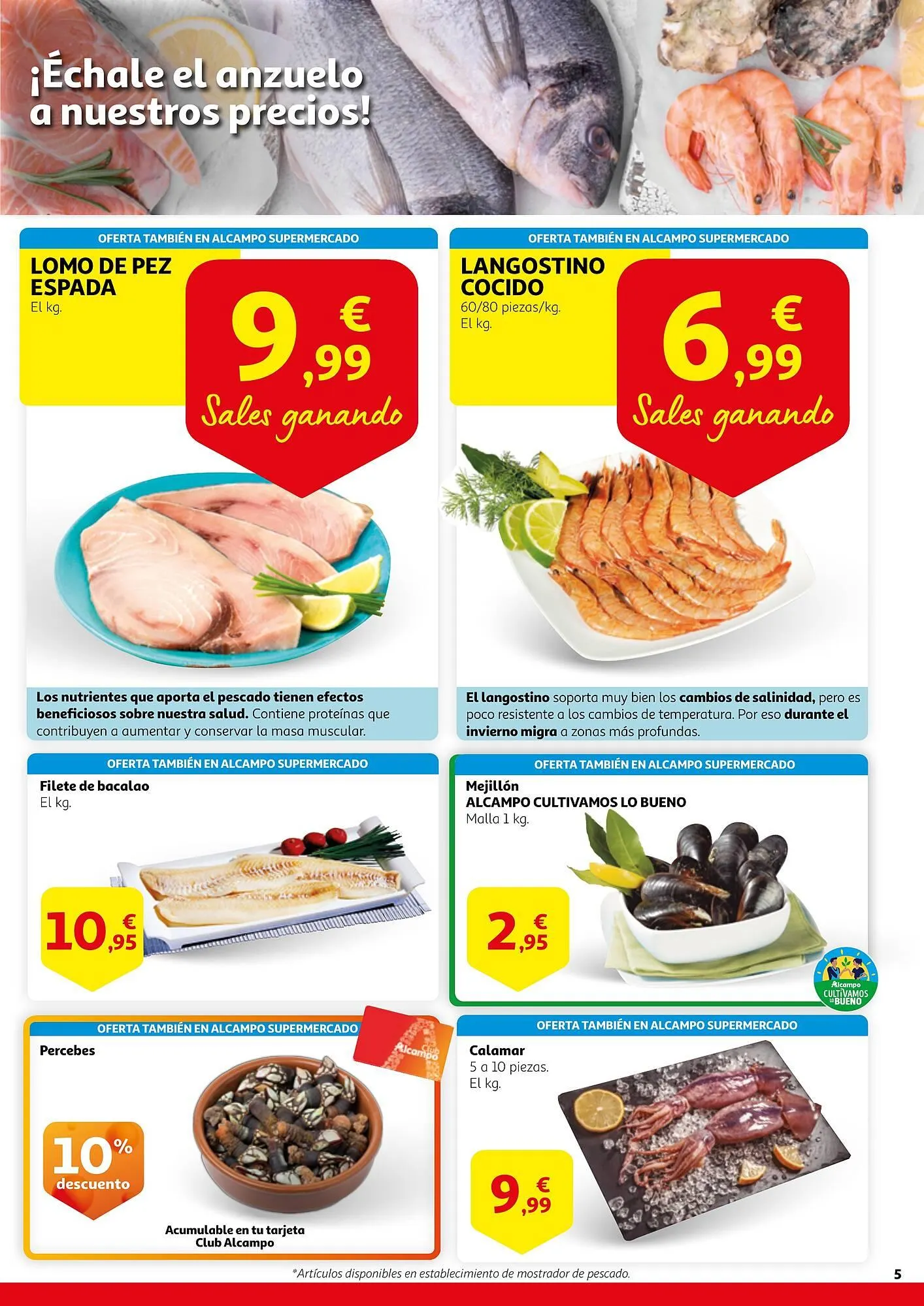 Catálogo de Folleto Alcampo 19 de julio al 31 de julio 2024 - Página 5