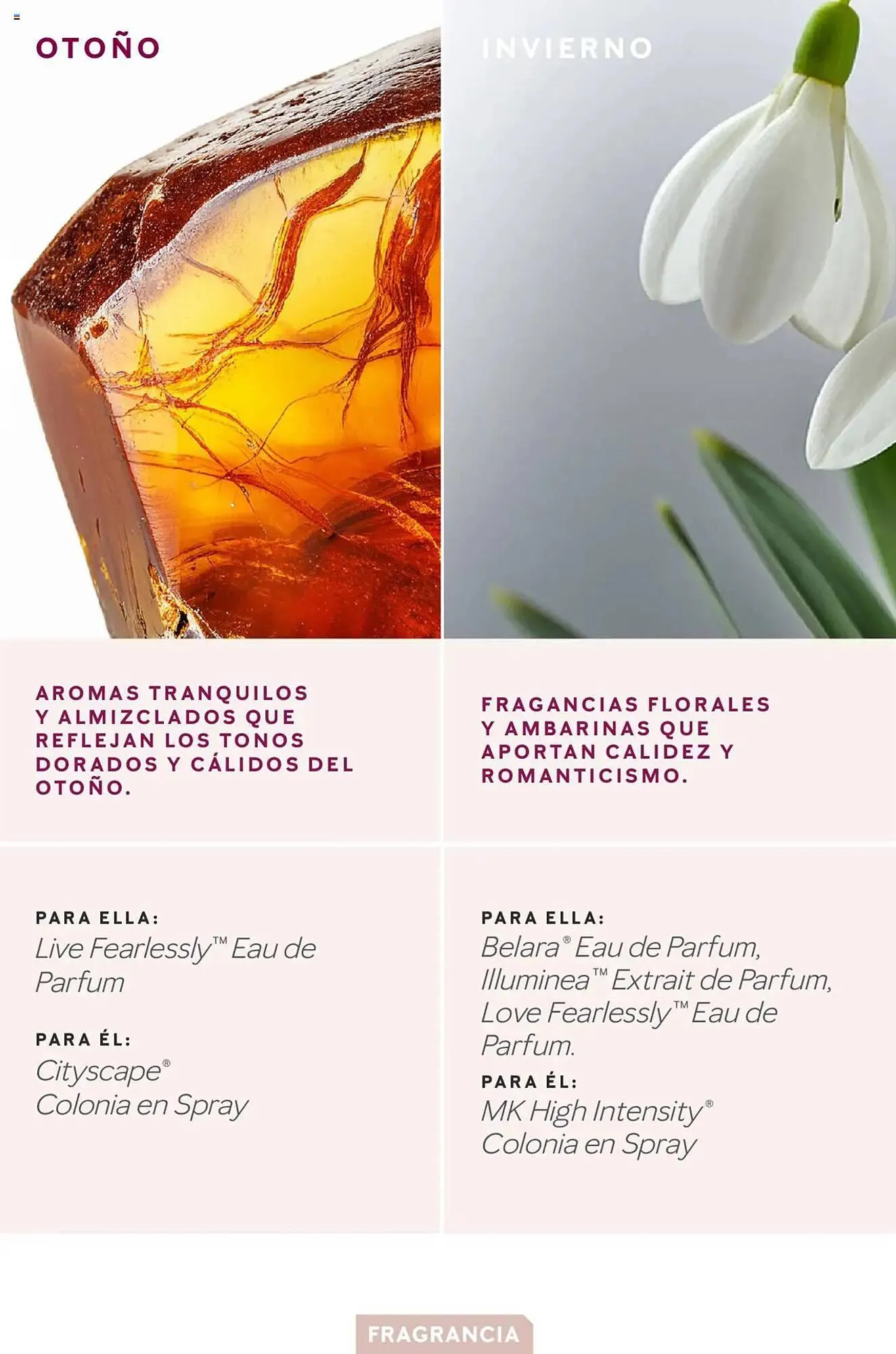 Catálogo de Folleto Mary Kay 11 de febrero al 30 de junio 2025 - Página 7