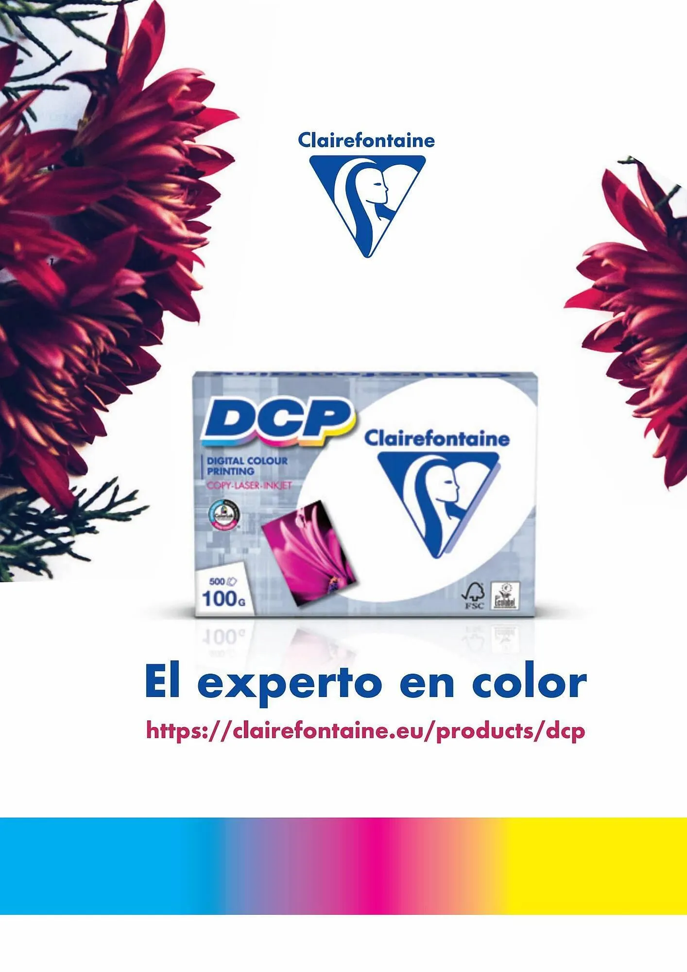 Catálogo de Folleto Carlin 25 de julio al 31 de diciembre 2023 - Página 559