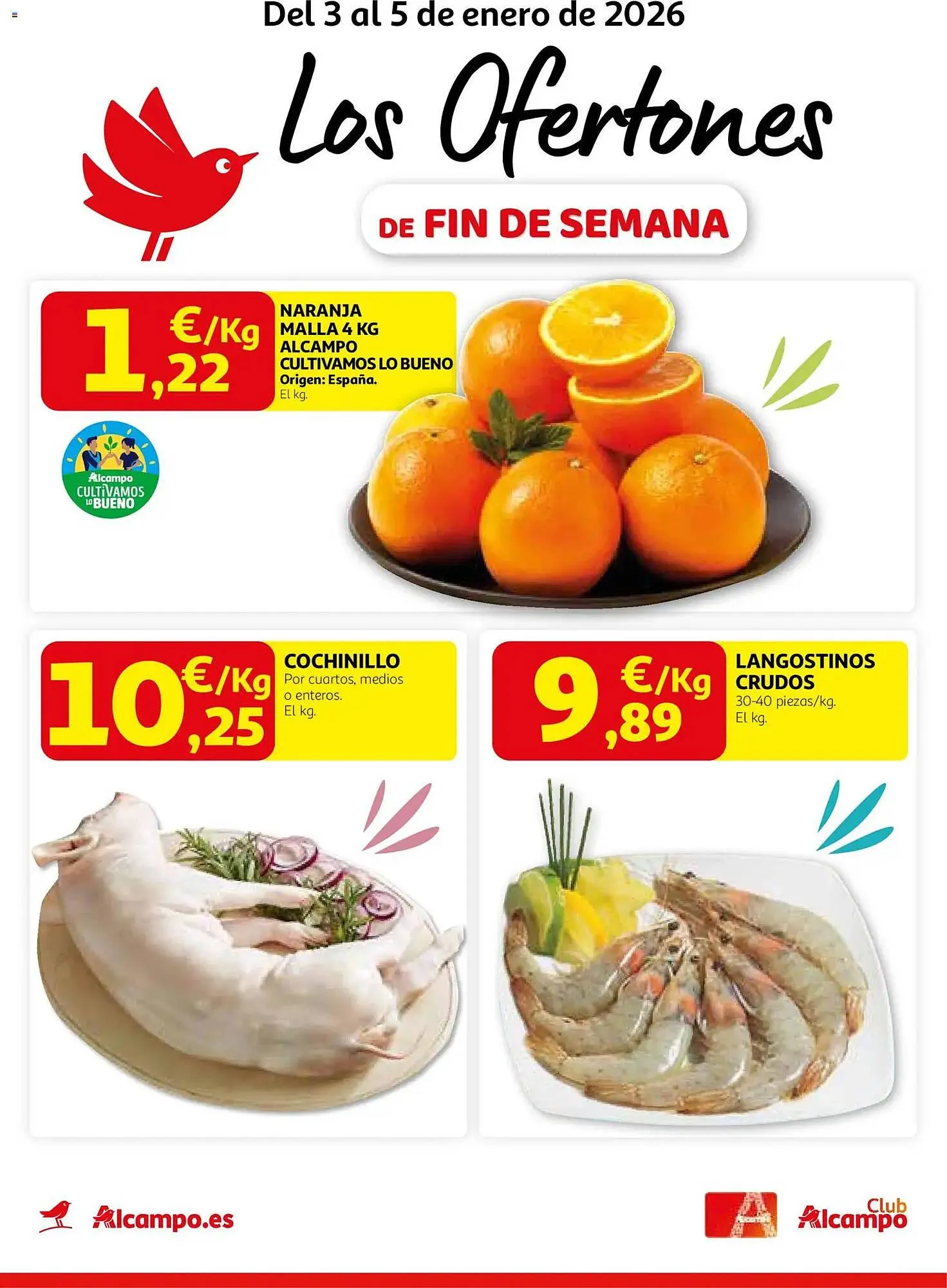 Catálogo de Folleto Alcampo 3 de enero al 5 de enero 2026 - Página 1
