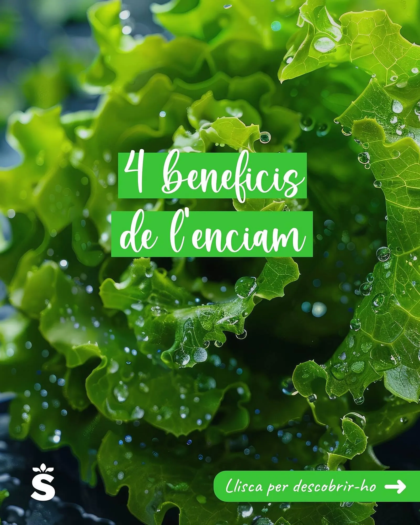 Catálogo de Folleto Sorli 5 de junio al 22 de junio 2025 - Página 1