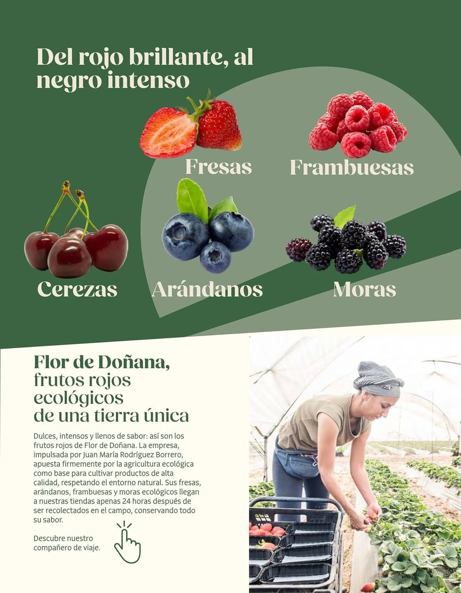 Catálogo de Catálogo Veritas 3 de abril al 30 de junio 2026 - Página 5