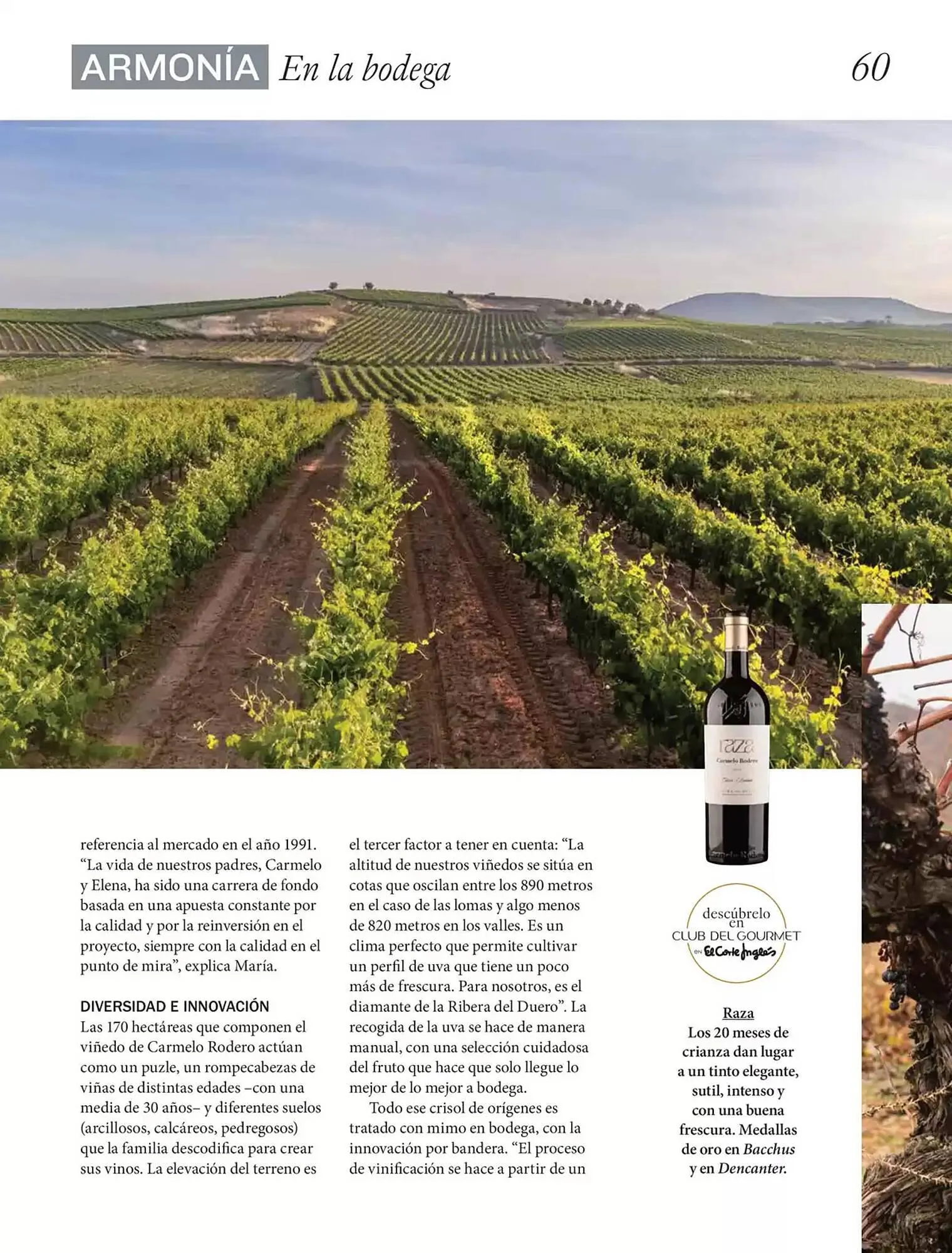 Catálogo de Folleto El Corte Inglés 1 de abril al 30 de junio 2025 - Página 60