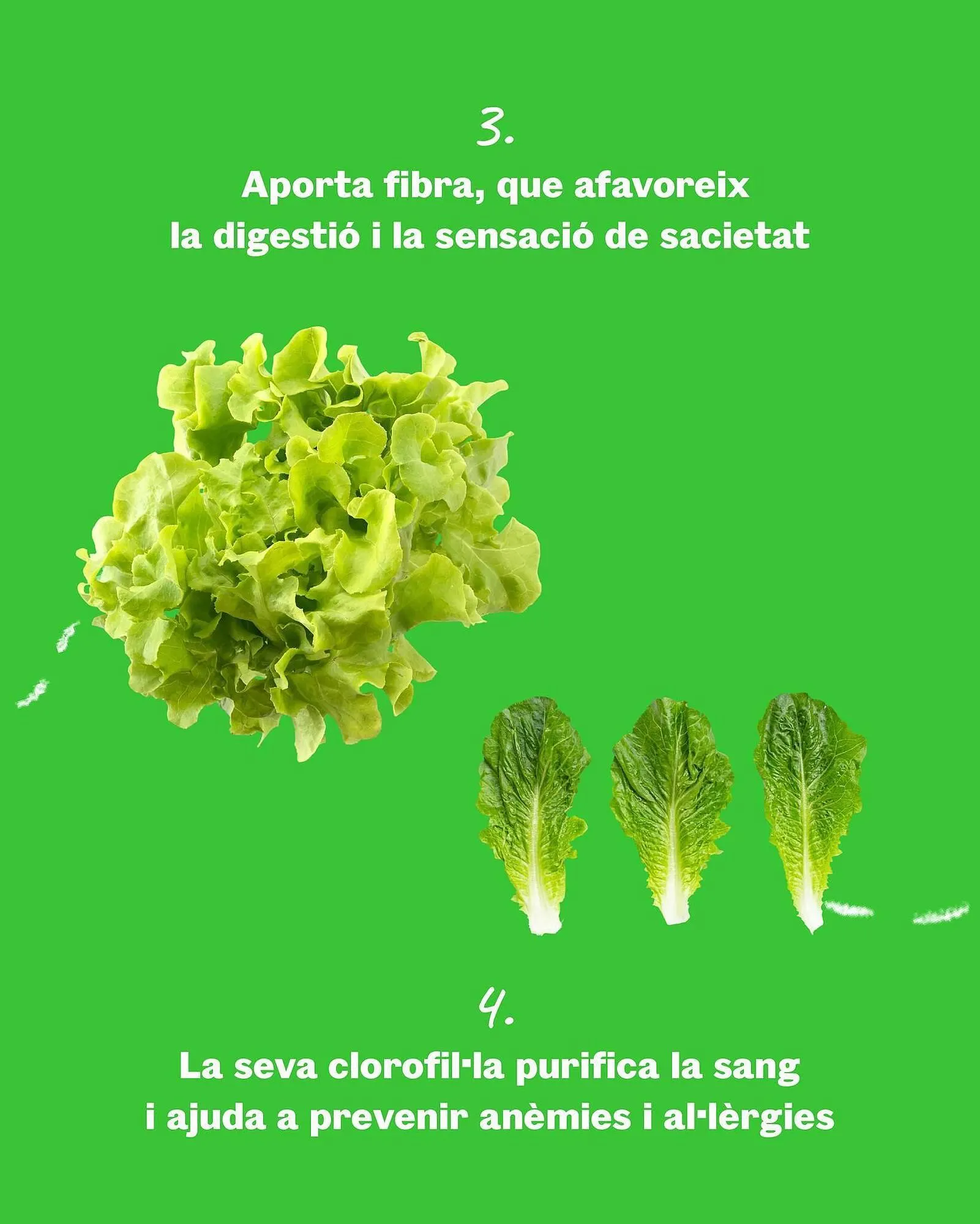 Catálogo de Folleto Sorli 5 de junio al 22 de junio 2025 - Página 3