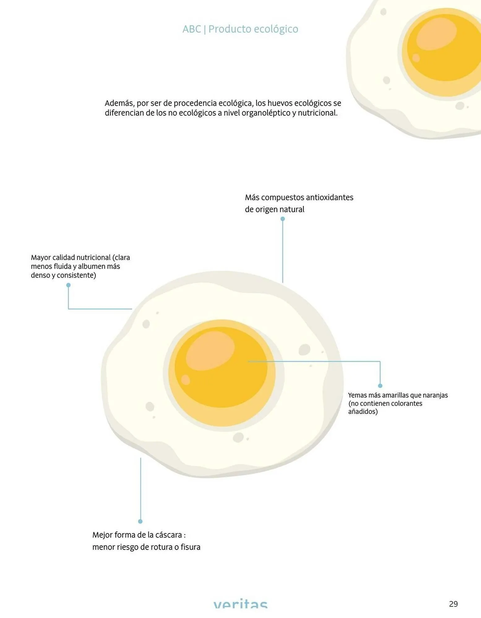Catálogo de Folleto Veritas 1 de julio al 31 de agosto 2025 - Página 29
