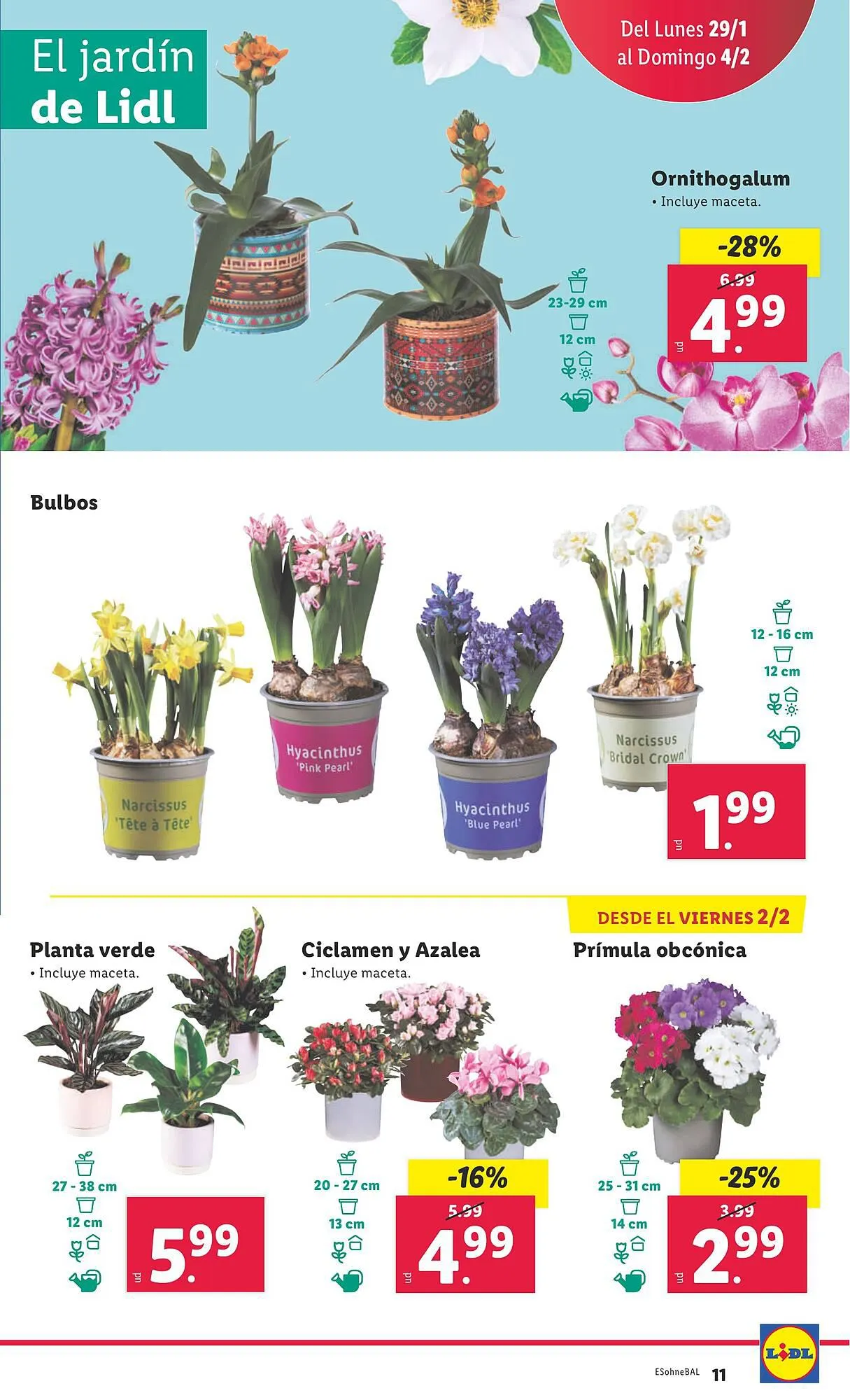 Catálogo de Folleto Lidl 29 de enero al 4 de febrero 2024 - Página 31