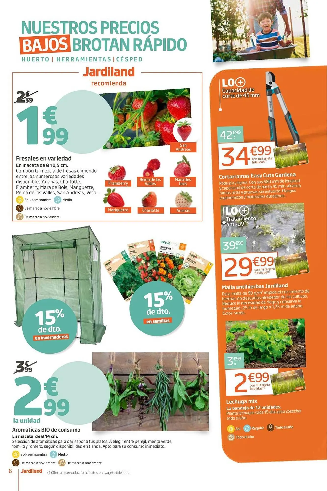 Catálogo de Catálogo Jardiland 10 de abril al 13 de abril 2026 - Página 6