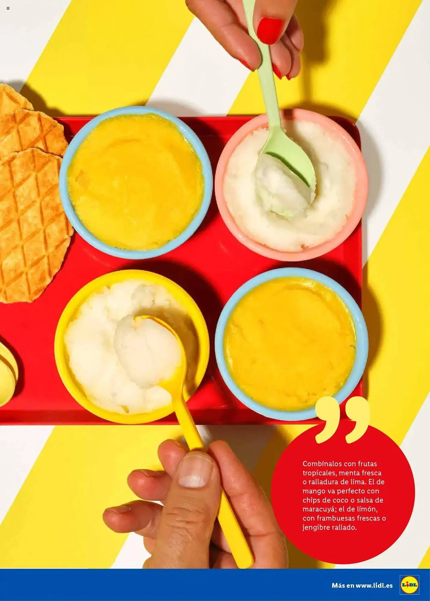 Catálogo de Folleto Lidl 23 de junio al 31 de agosto 2025 - Página 19