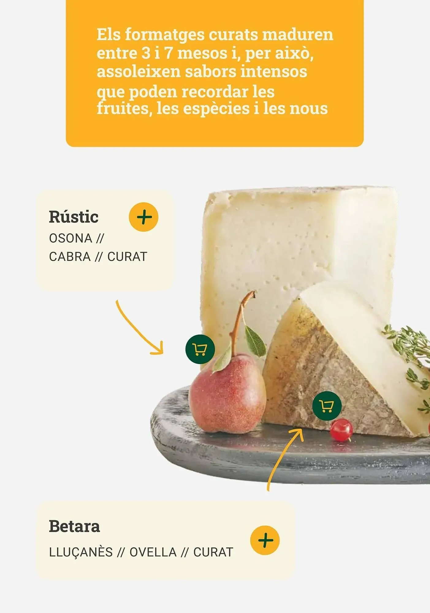 Catálogo de Folleto BonpreuEsclat 3 de octubre al 31 de octubre 2025 - Página 23