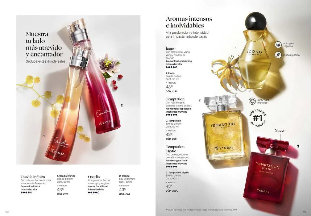 Catálogo de CATÁLOGO ANUAL 2024 12 de junio al 31 de diciembre 2024 - Página 52