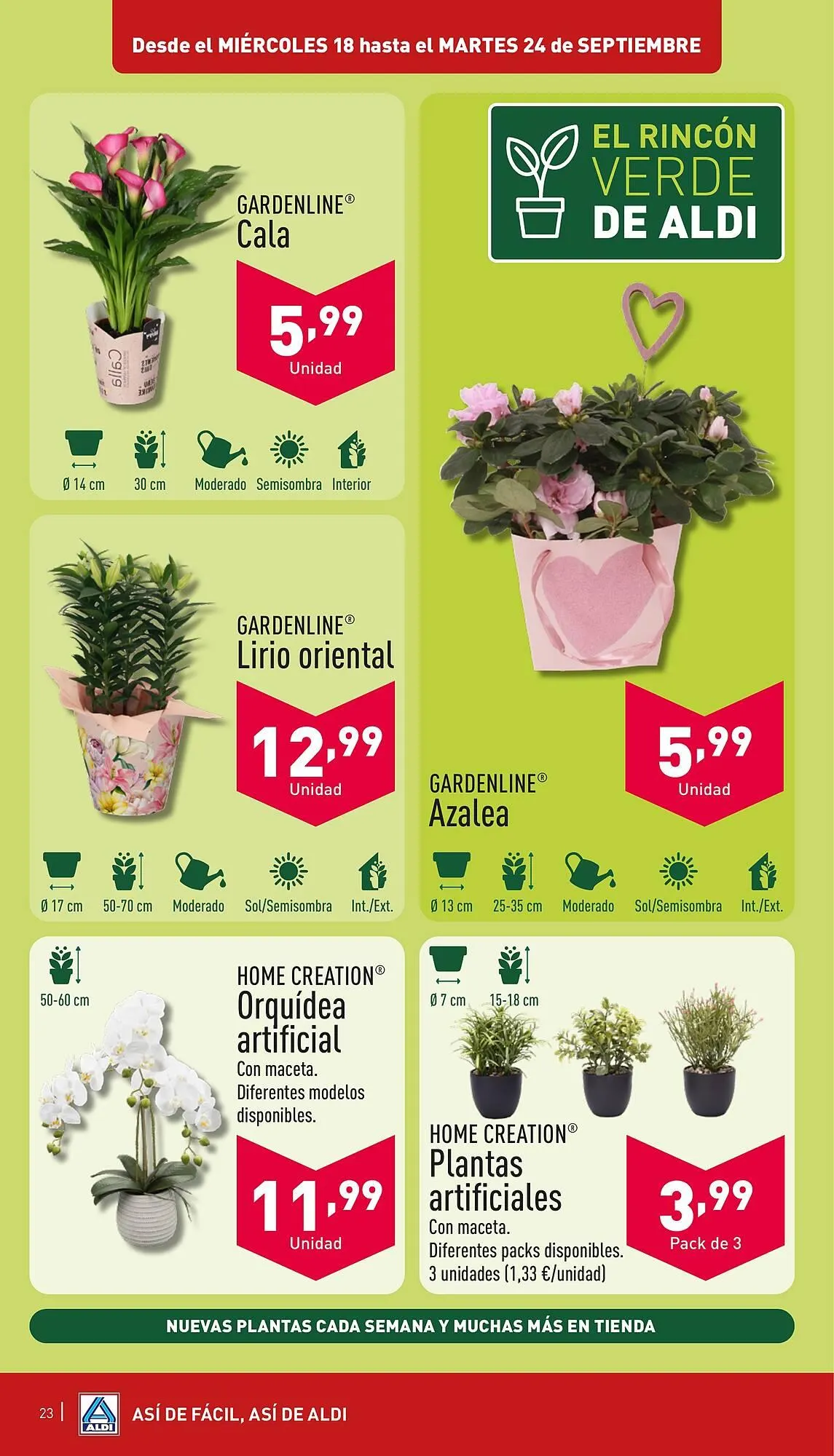 Catálogo de Folleto ALDI 18 de septiembre al 24 de septiembre 2024 - Página 23