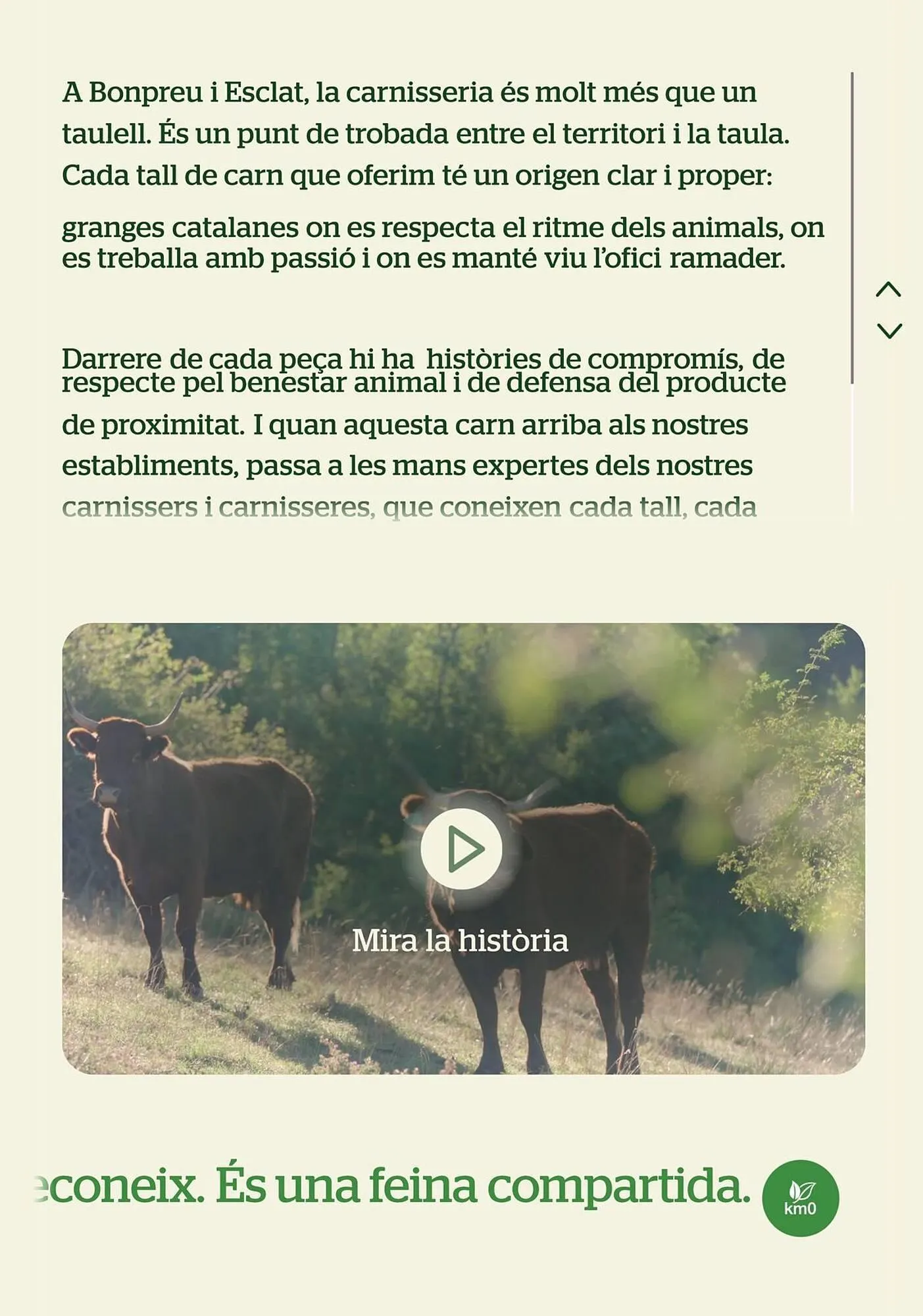 Catálogo de Folleto BonpreuEsclat 30 de enero al 30 de junio 2026 - Página 13