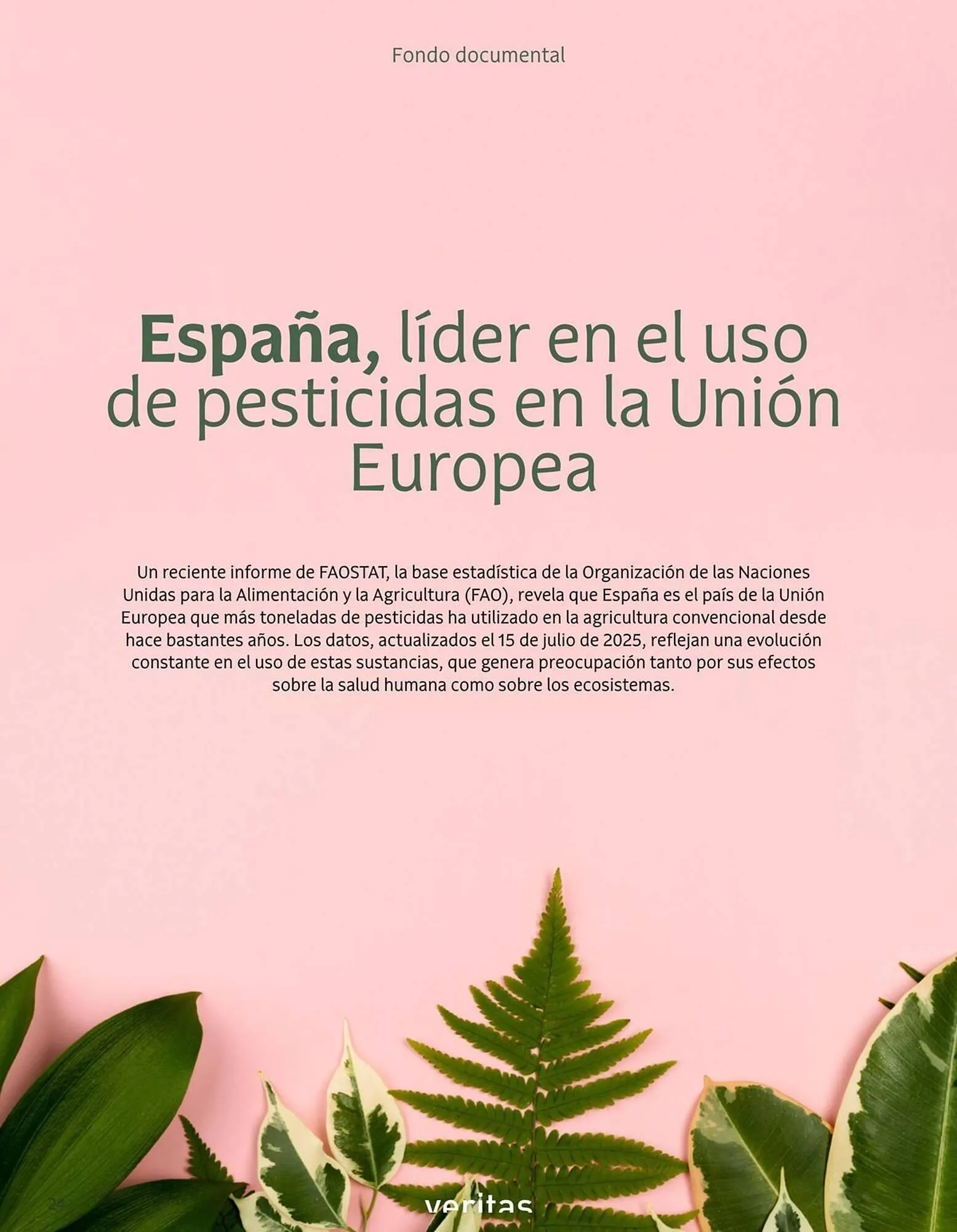 Catálogo de Catálogo Veritas 1 de diciembre al 31 de diciembre 2025 - Página 24