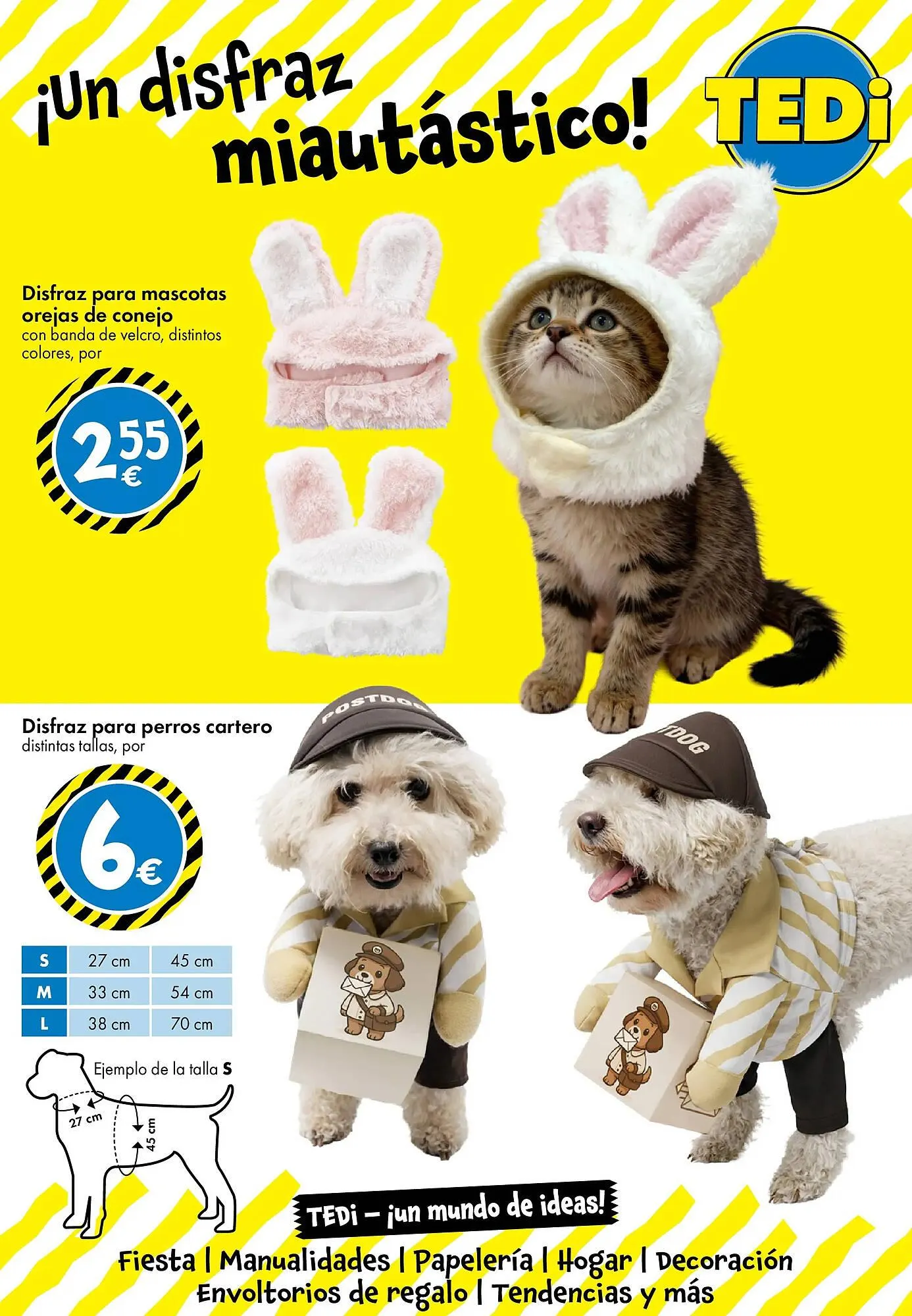 Catálogo de Catálogo TEDi 28 de enero al 8 de febrero 2026 - Página 13