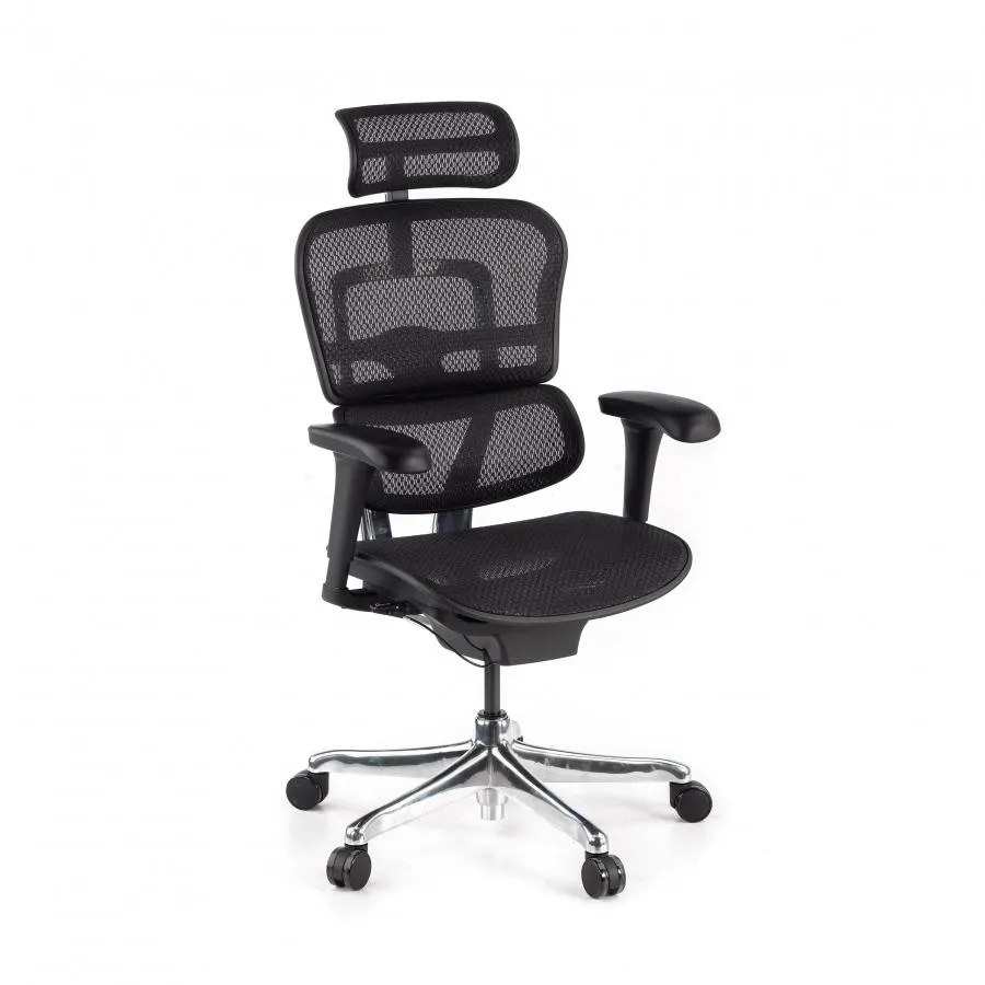 Silla ergonómica ejecutiva Ergohuman Edition I, estructura negra - Negro