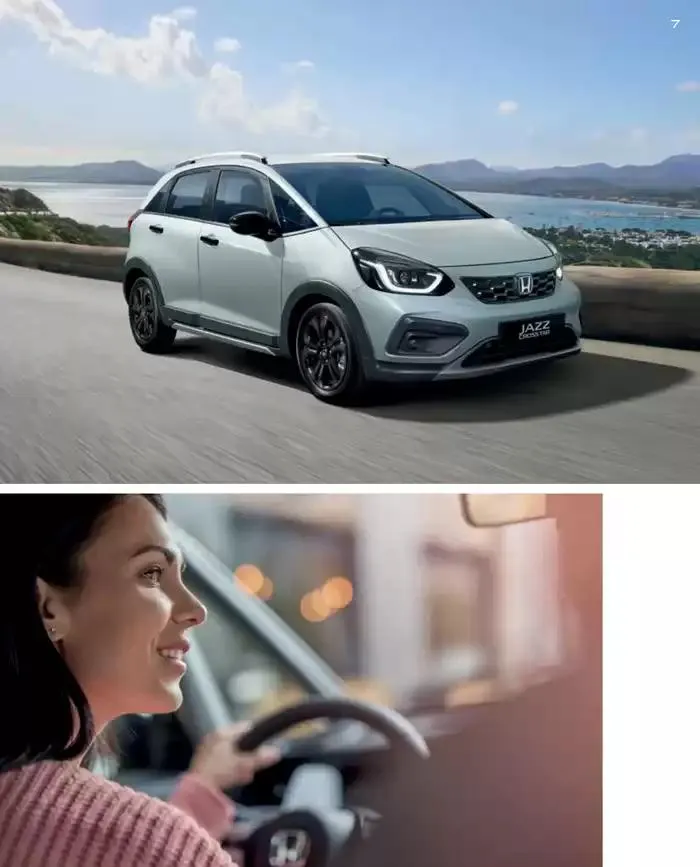 Catálogo de Crosstar: HEV 30 de agosto al 30 de junio 2025 - Página 7