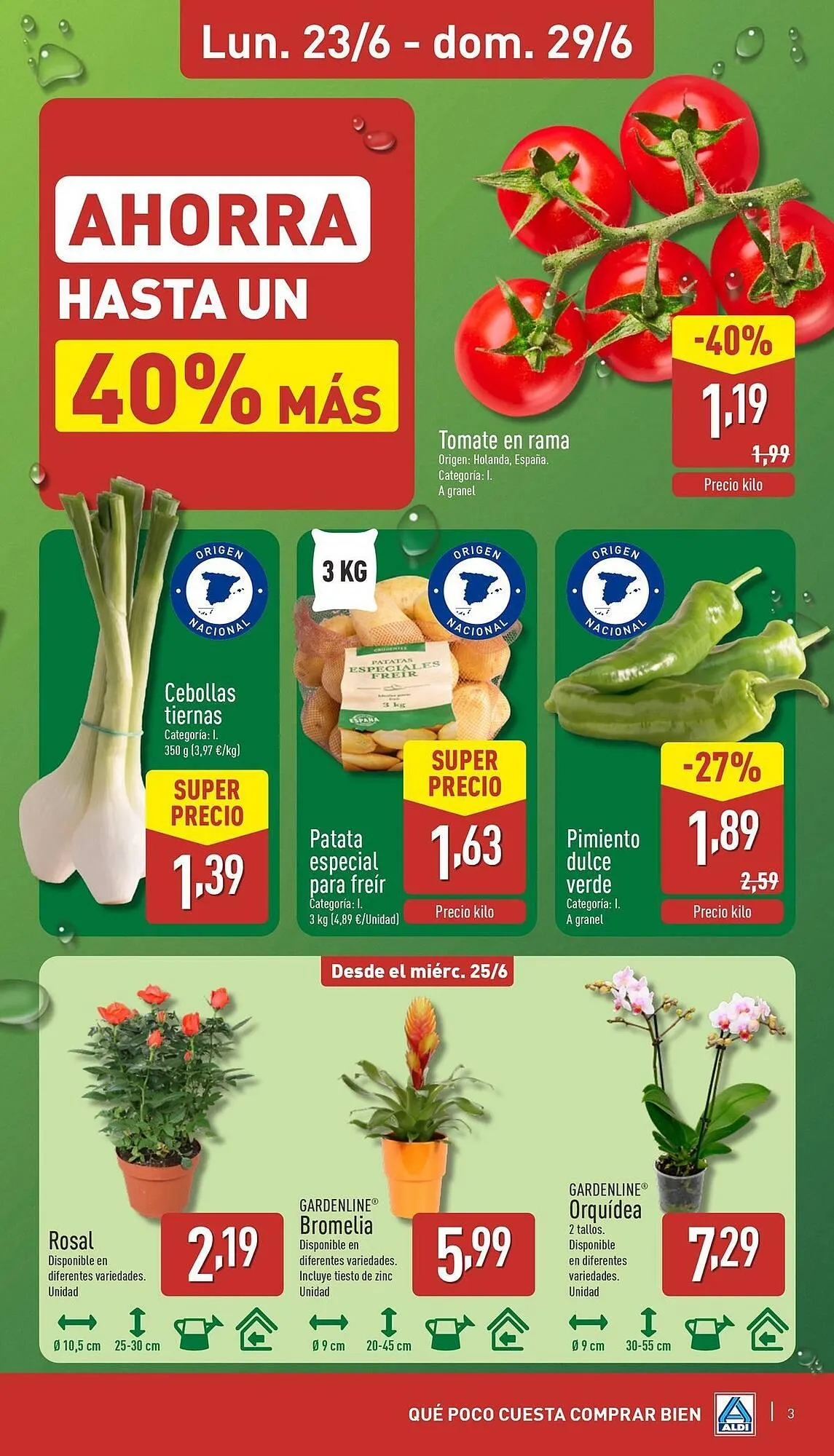 Catálogo de Folleto ALDI 23 de junio al 29 de junio 2025 - Página 3