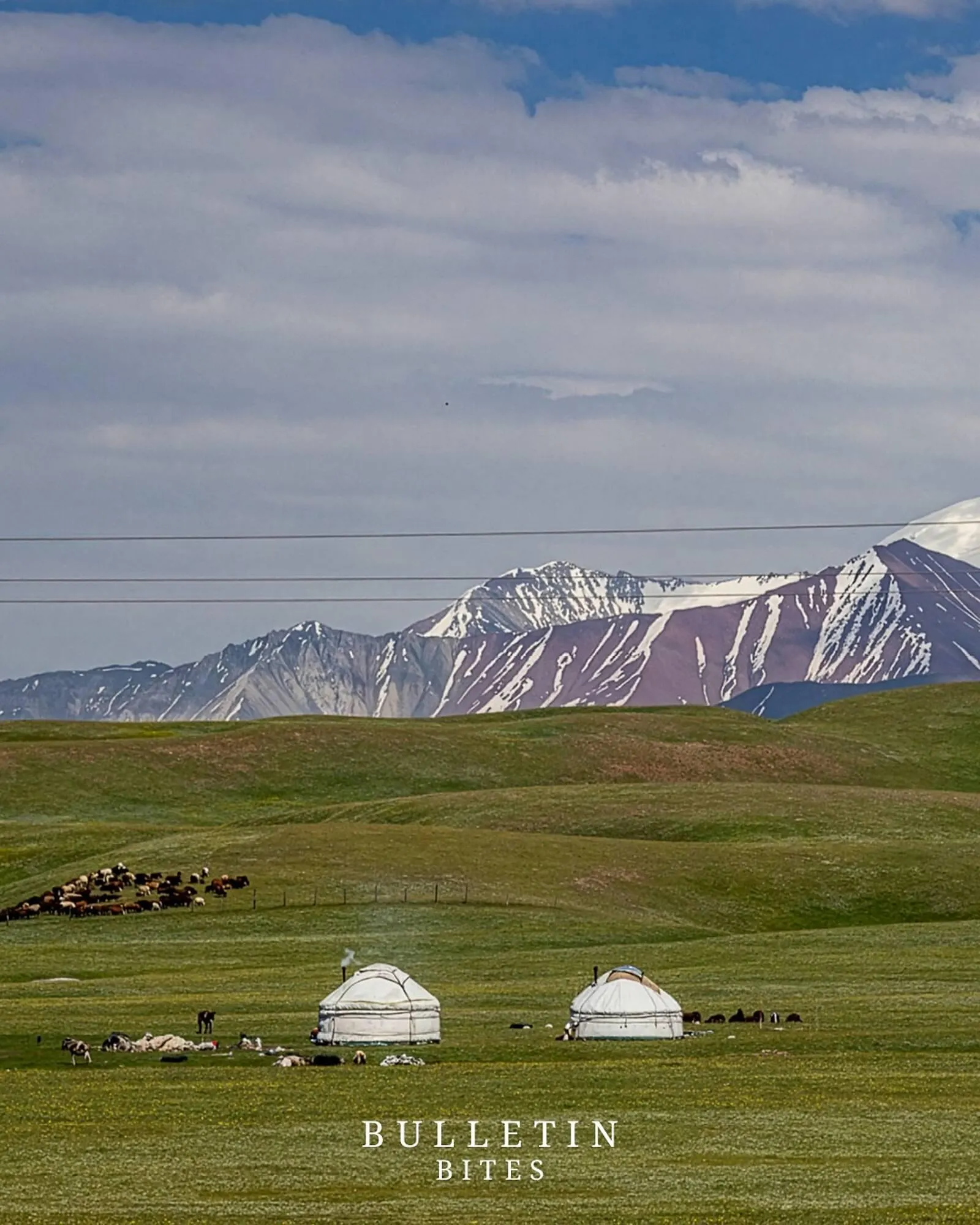 Catálogo de Folleto Napapijri 13 de diciembre al 19 de diciembre 2025 - Página 2