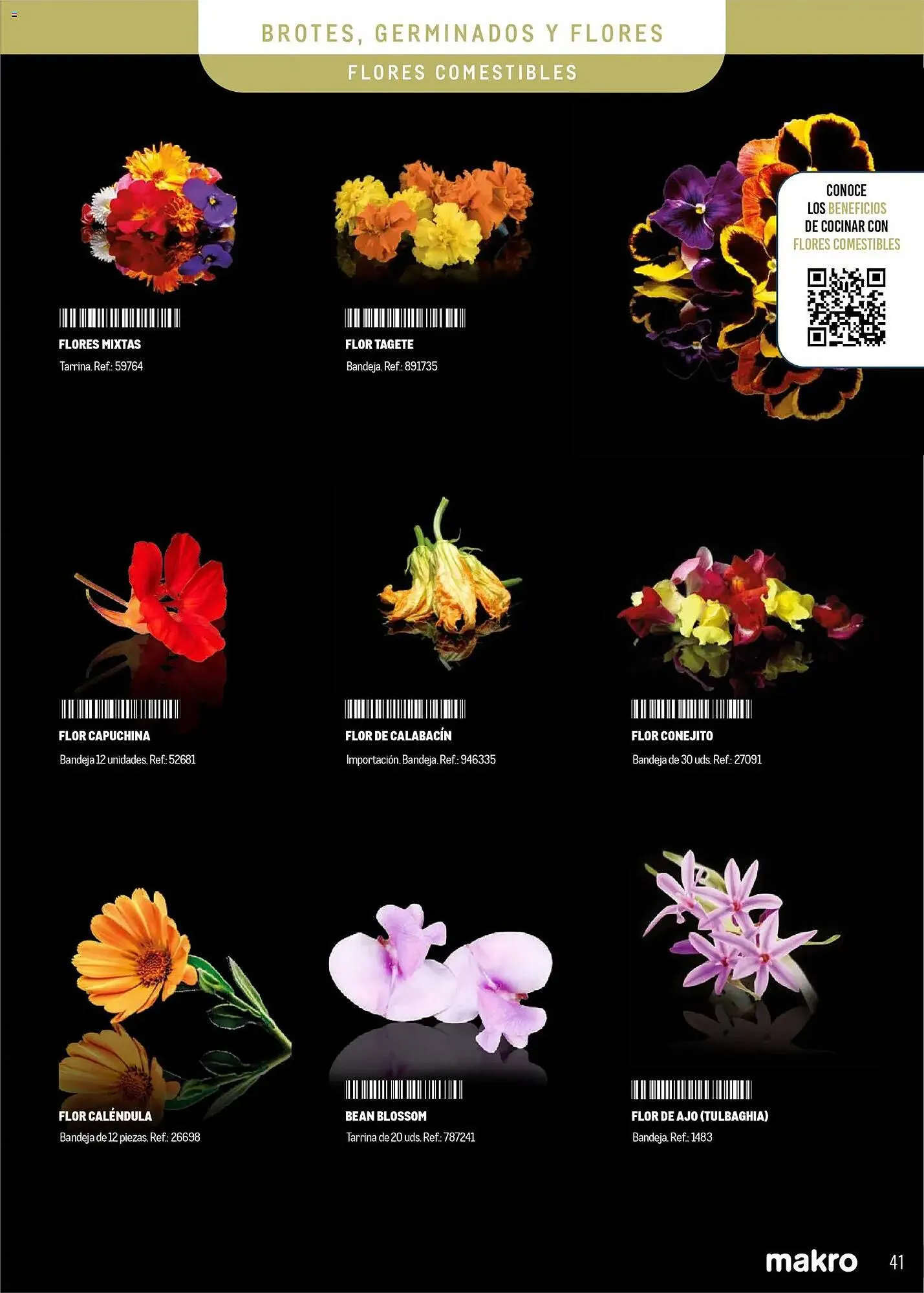 Catálogo de Catálogo Makro 5 de enero al 5 de julio 2026 - Página 41