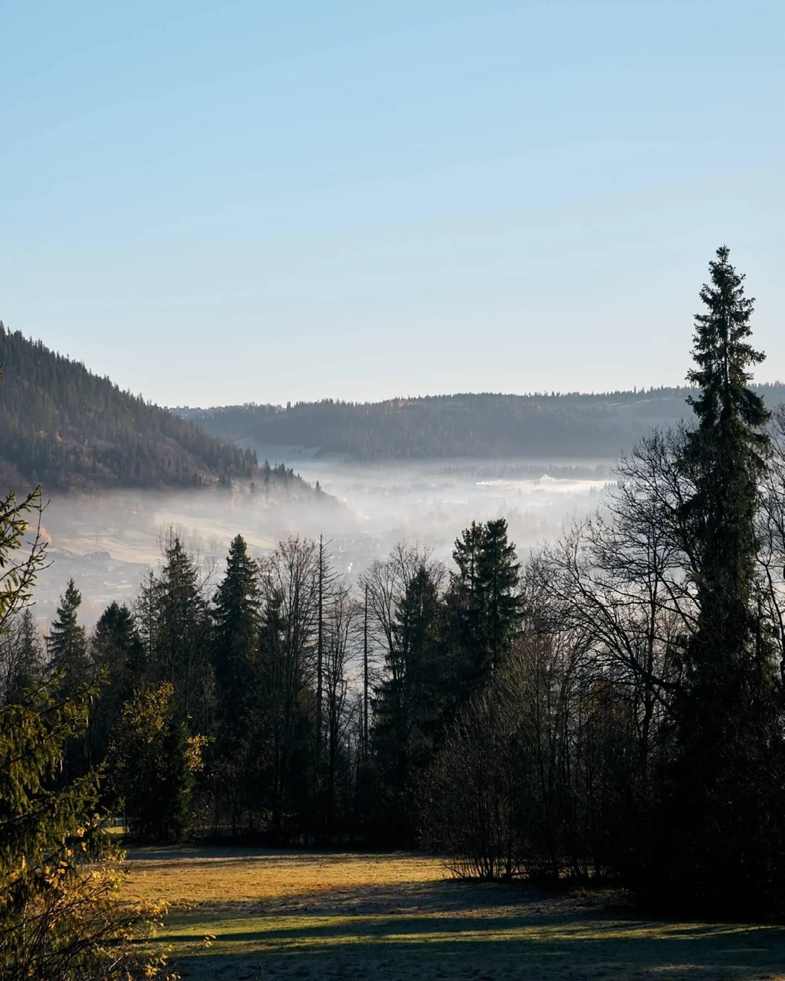 Catálogo de Folleto Napapijri 8 de diciembre al 21 de diciembre 2025 - Página 4